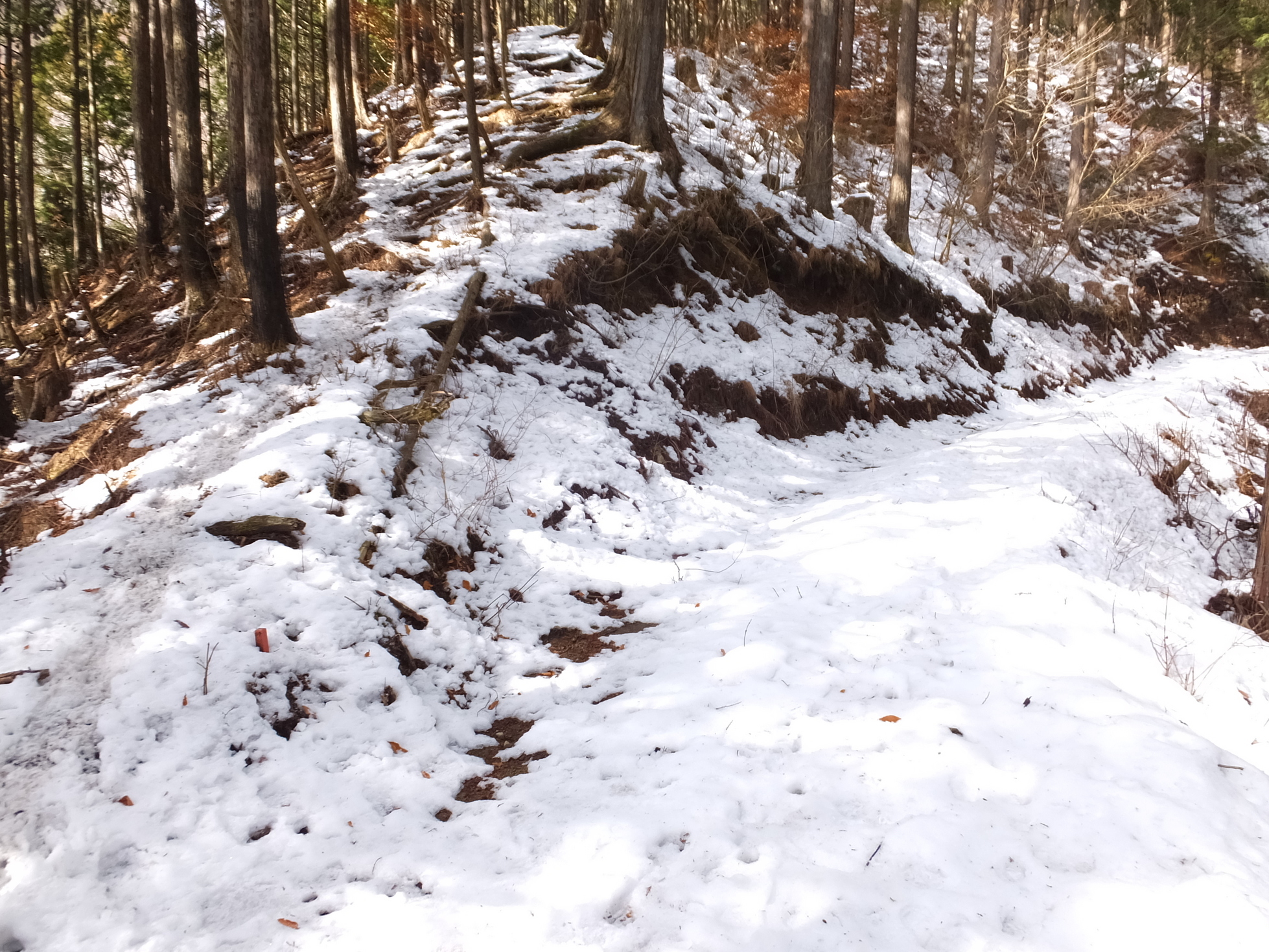 �R�����L