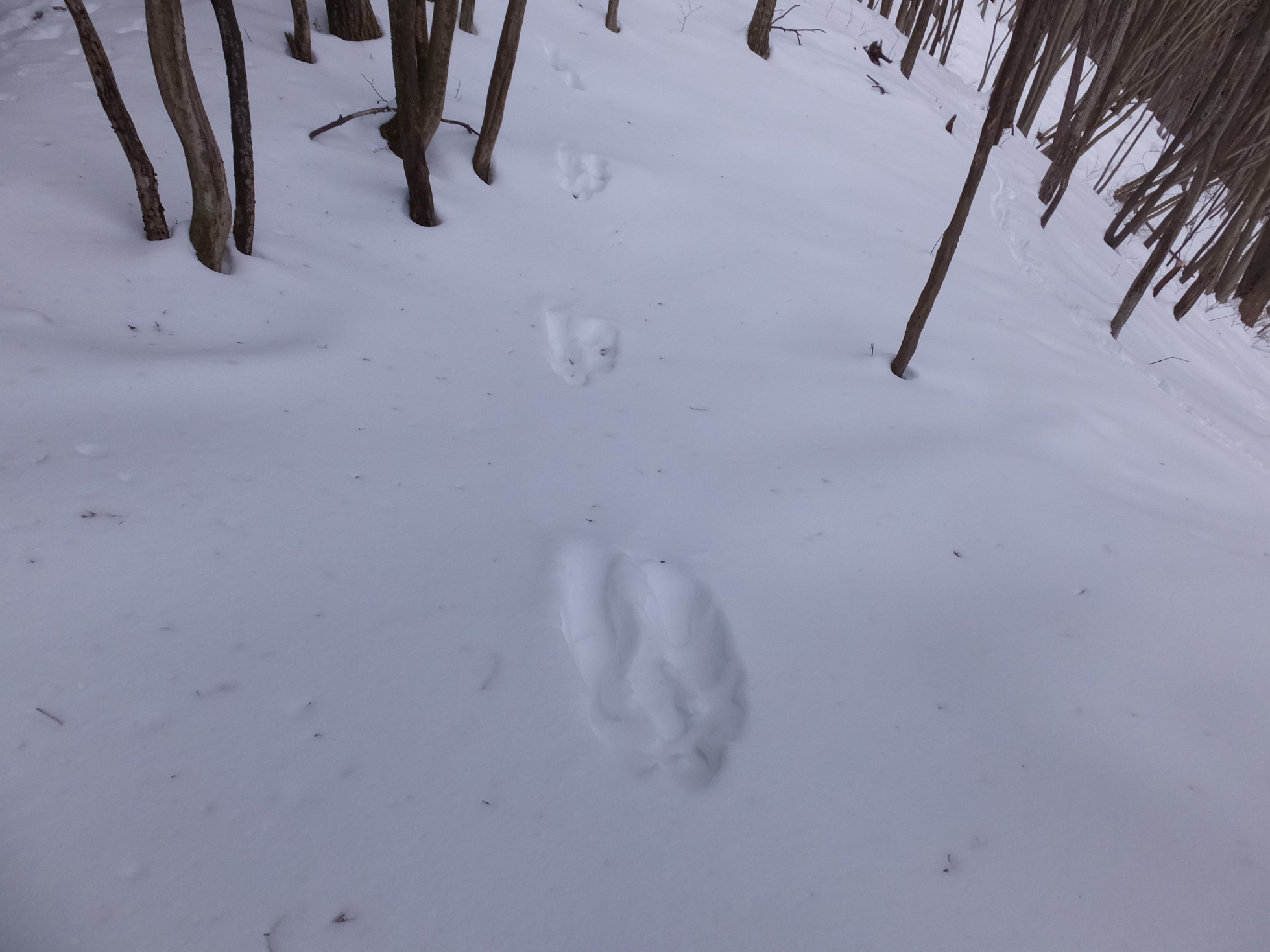 �R�����L