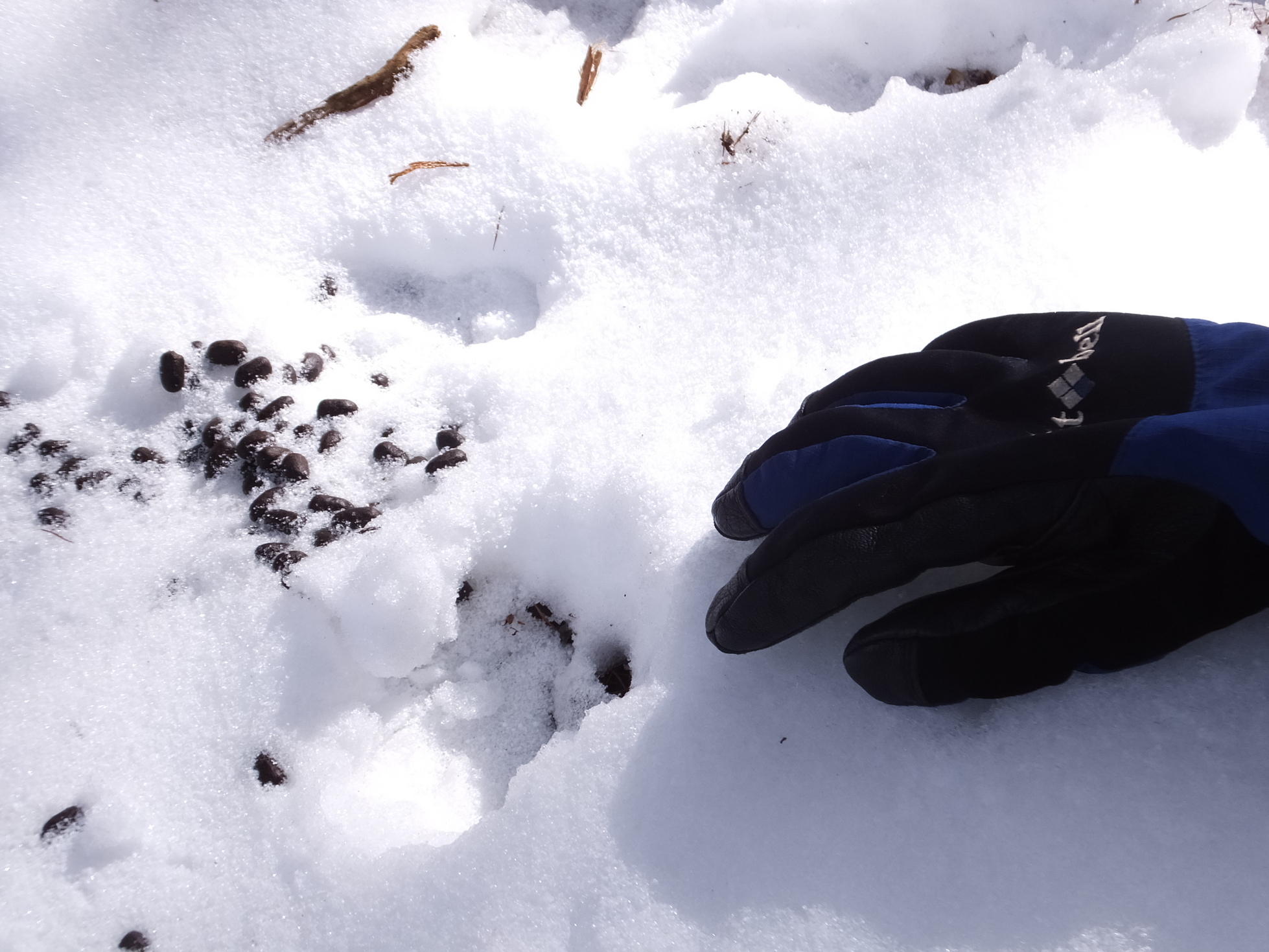 �R�����L