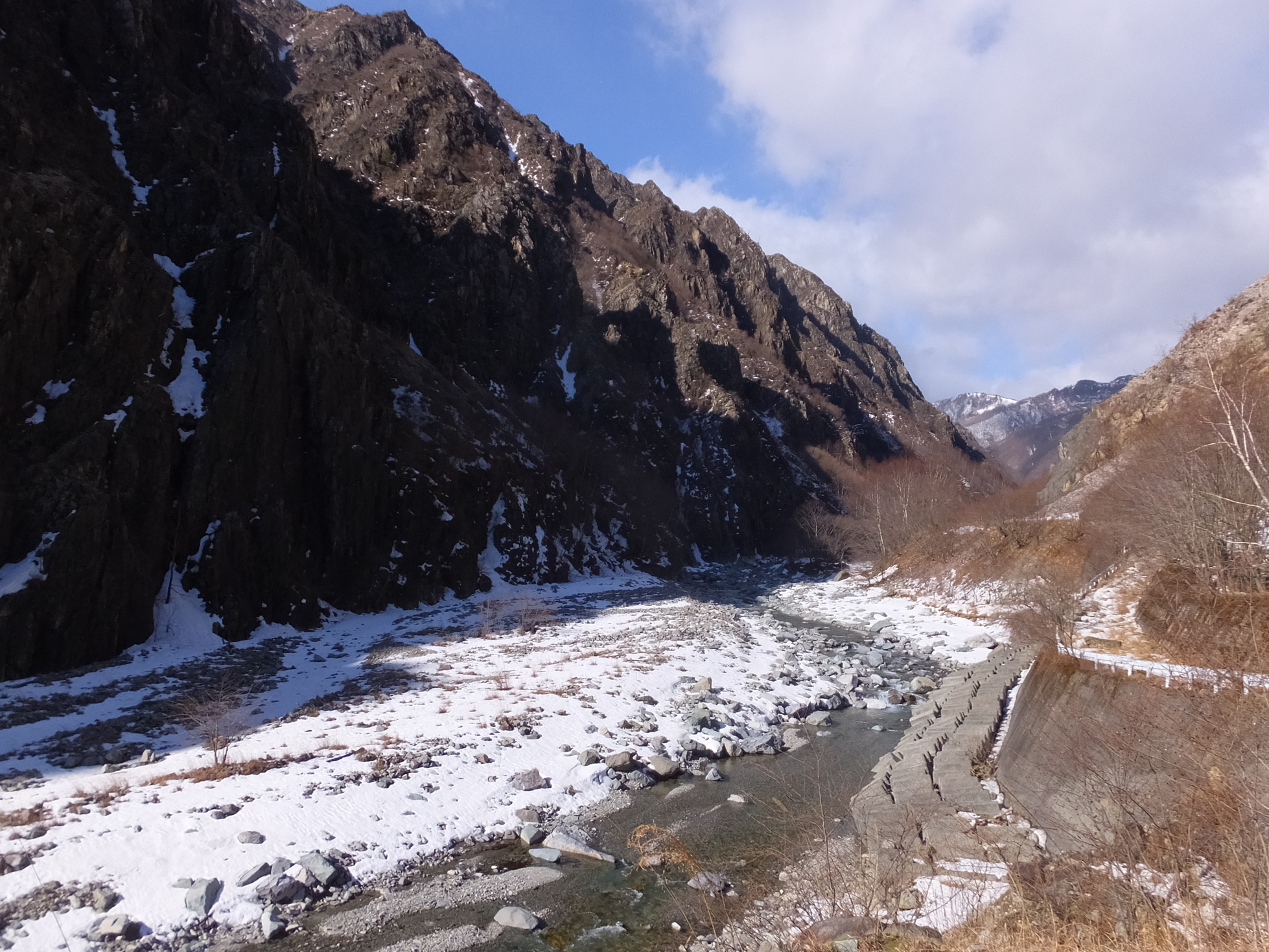 �R�����L