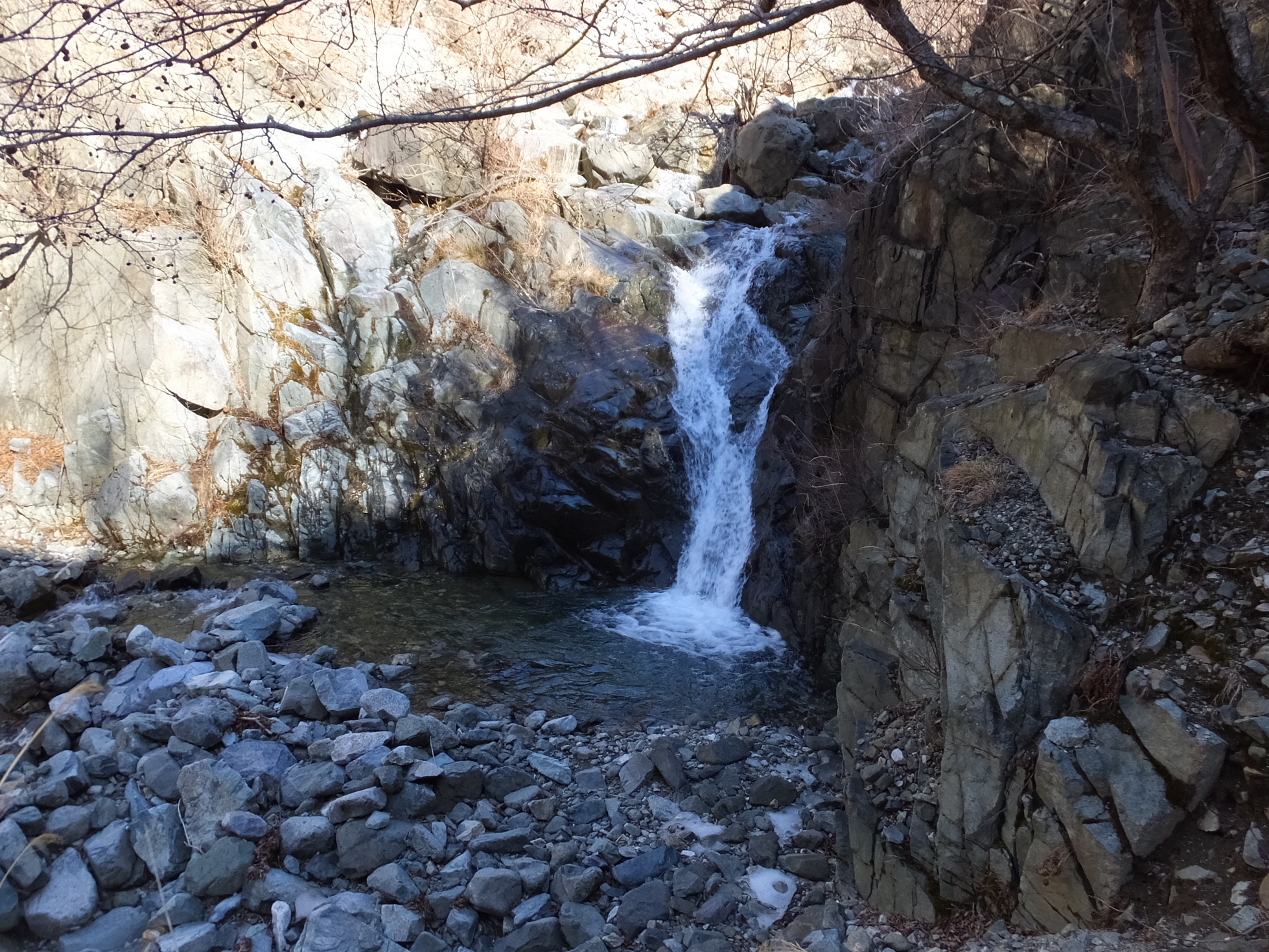 �R�����L