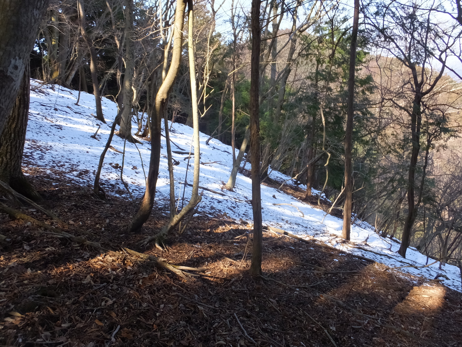 �R�����L