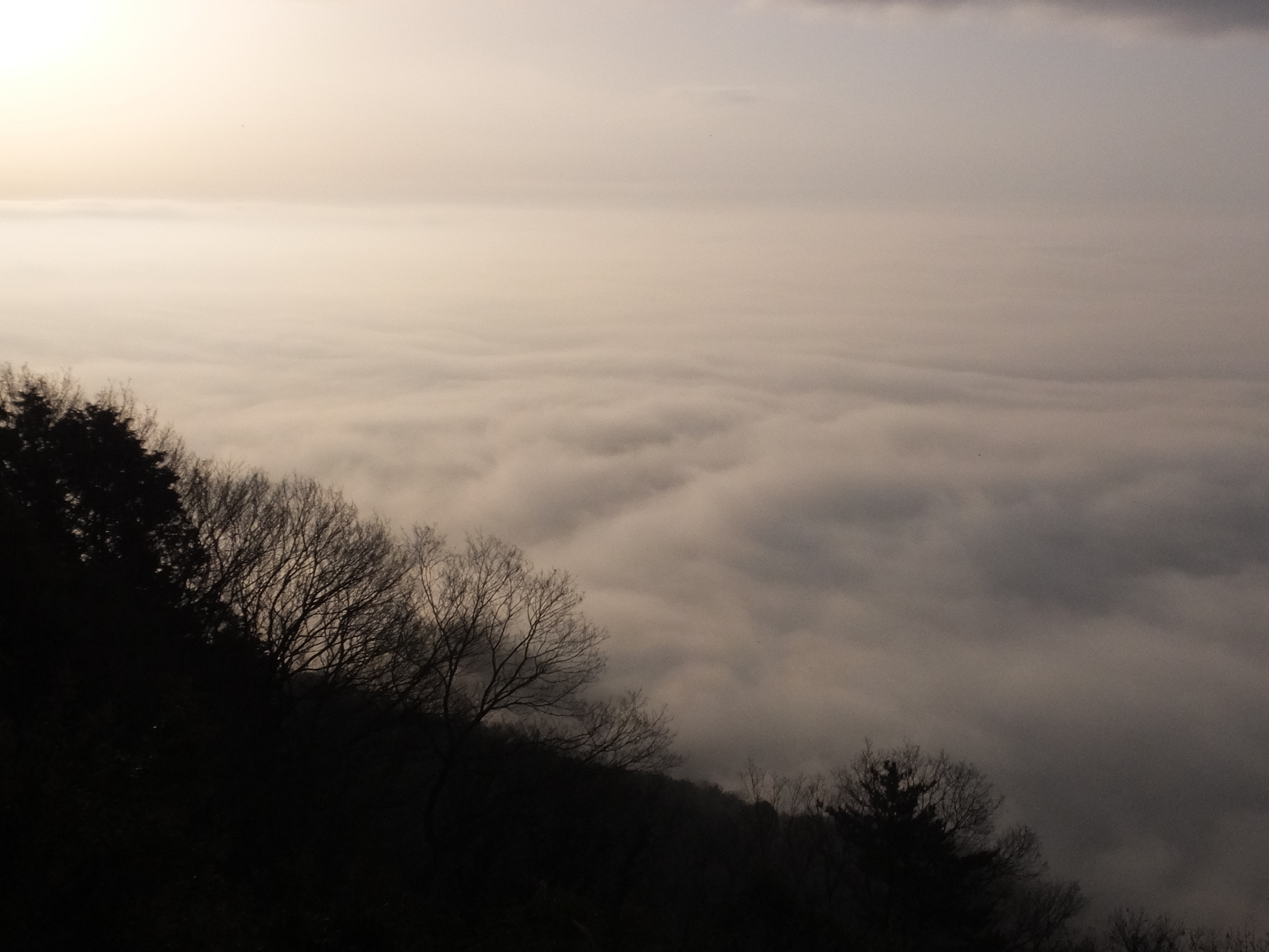 �R�����L