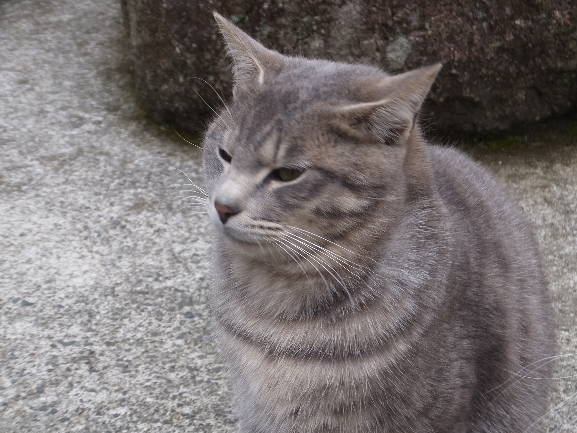 �R�����L