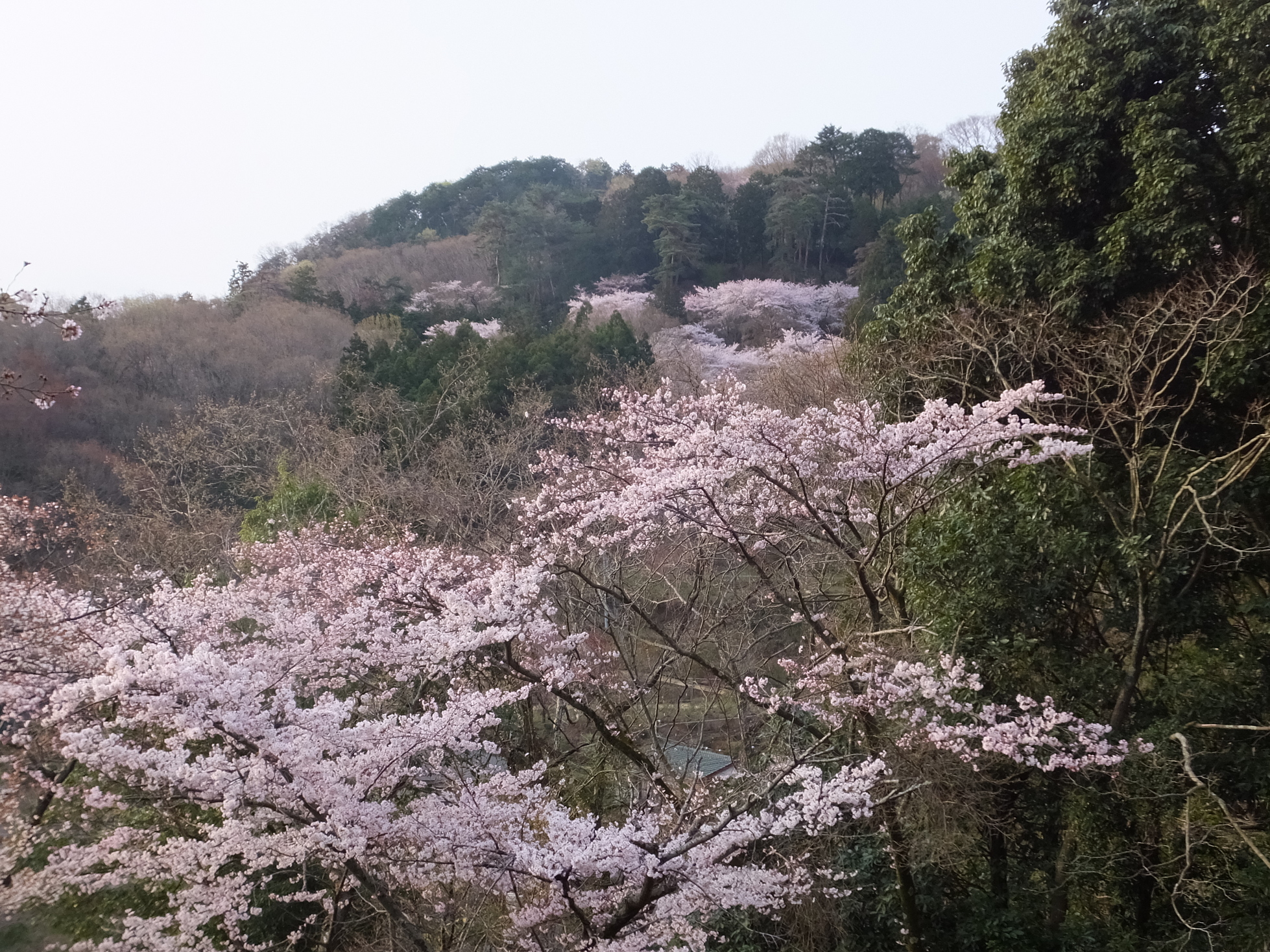 �R�����L