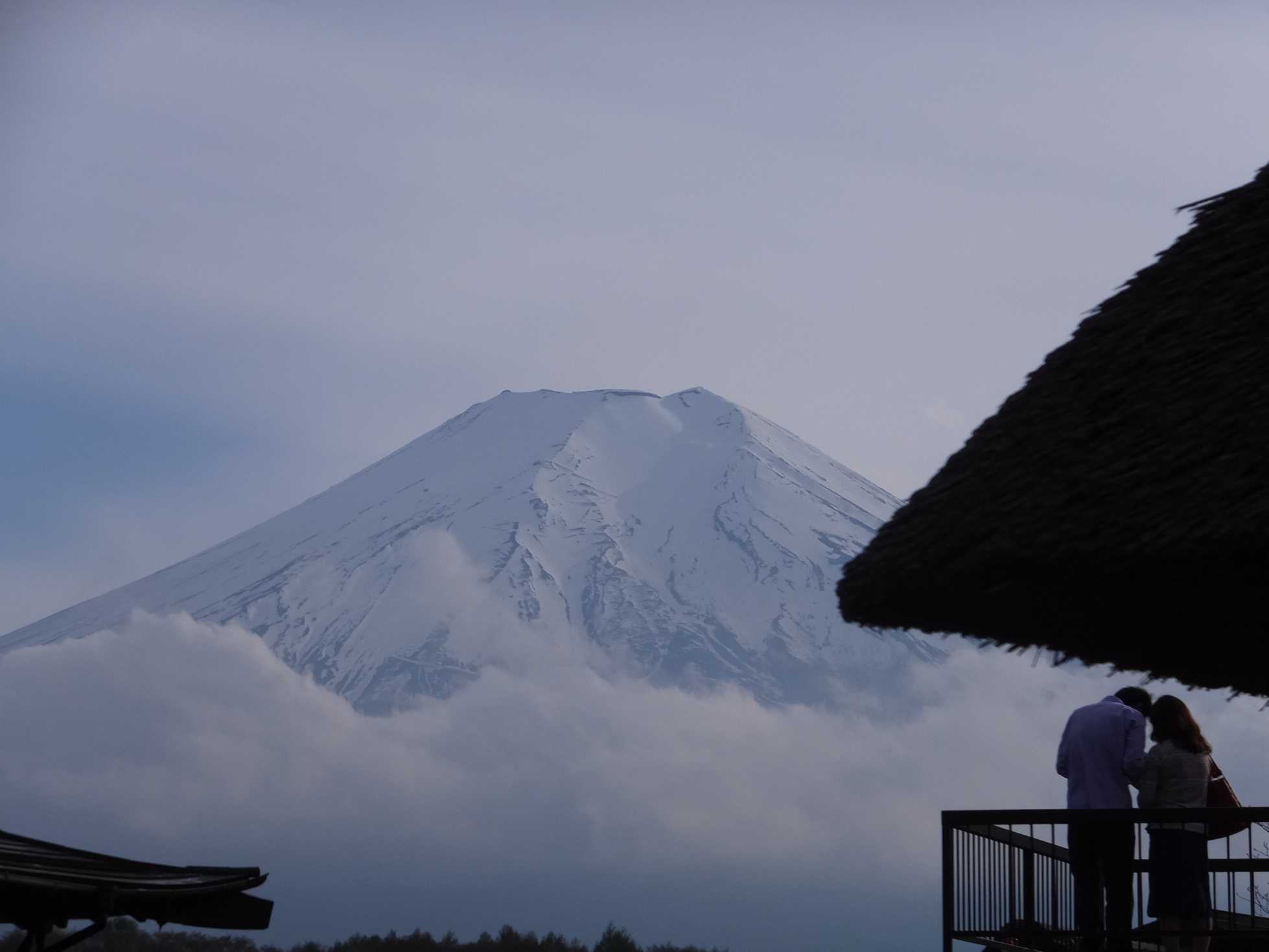 �R�����L