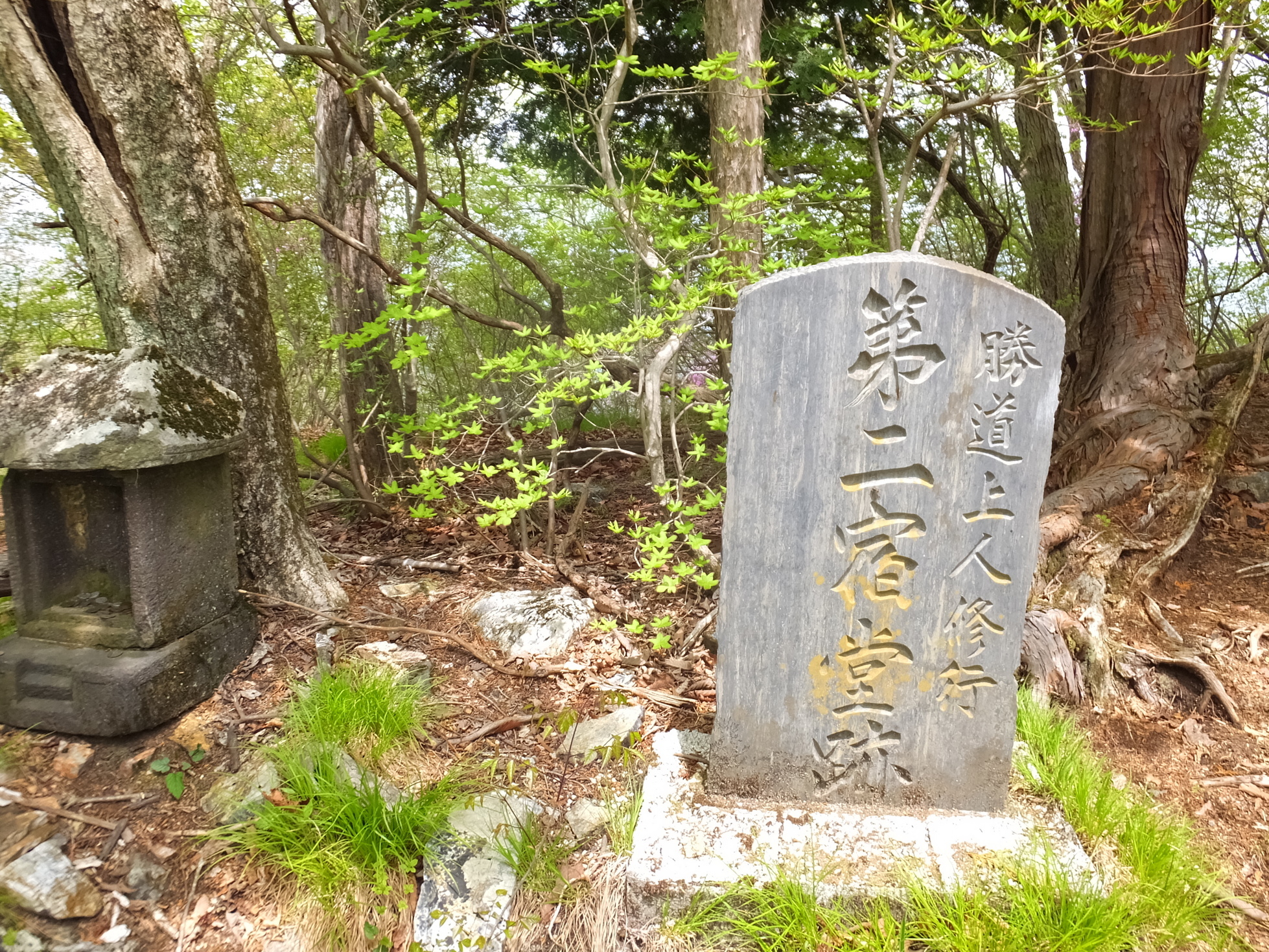 �R�����L