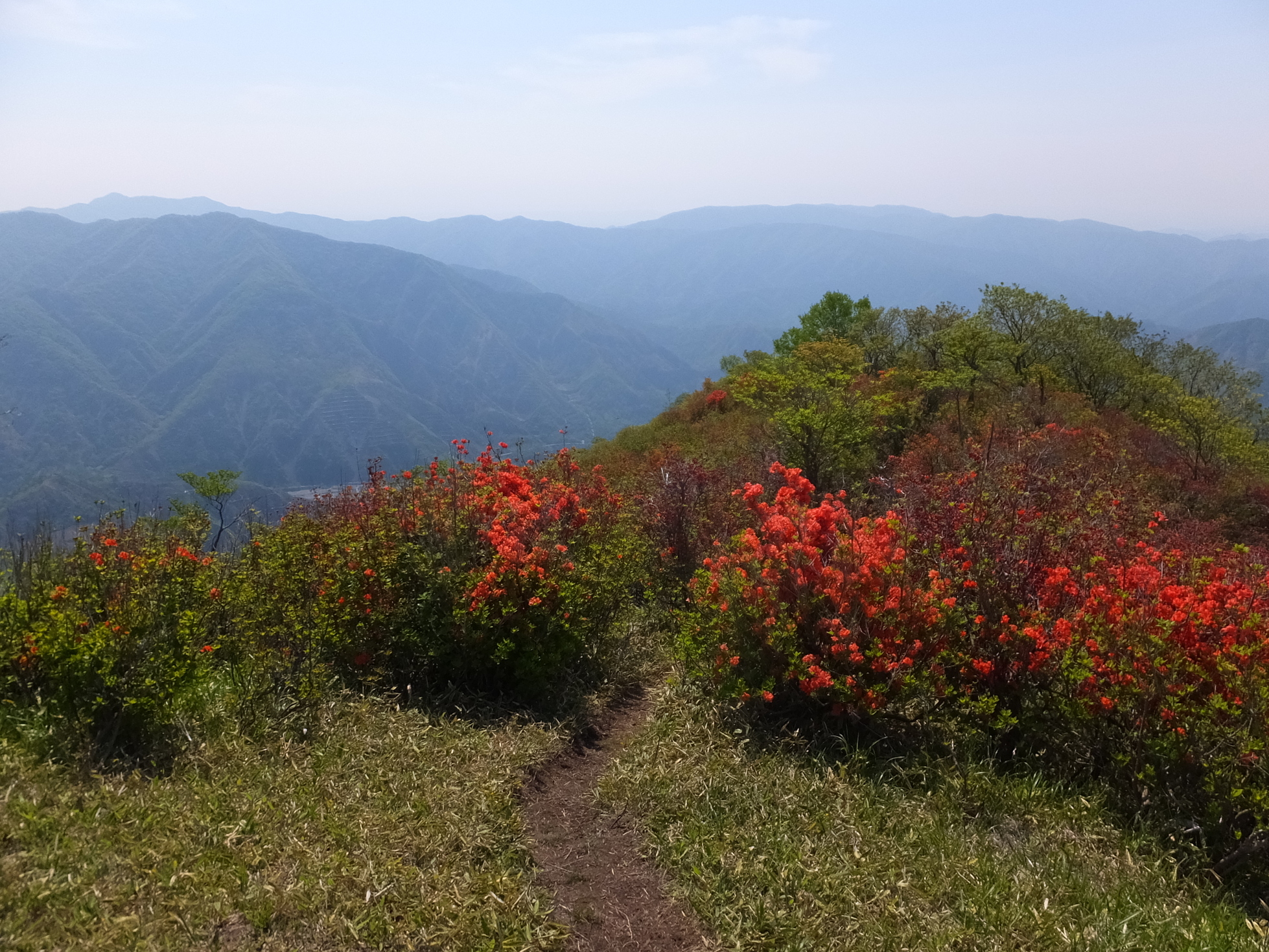 �R�����L