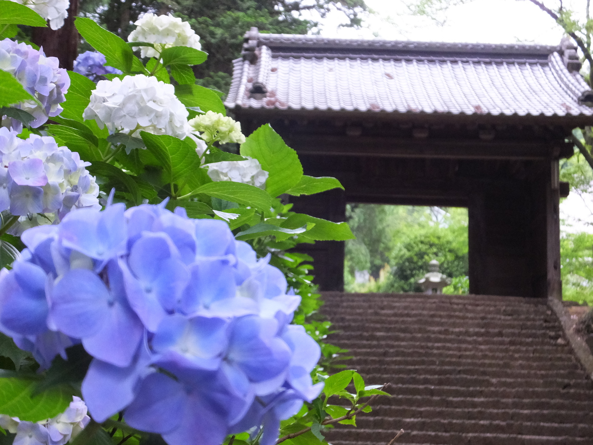 �R�����L