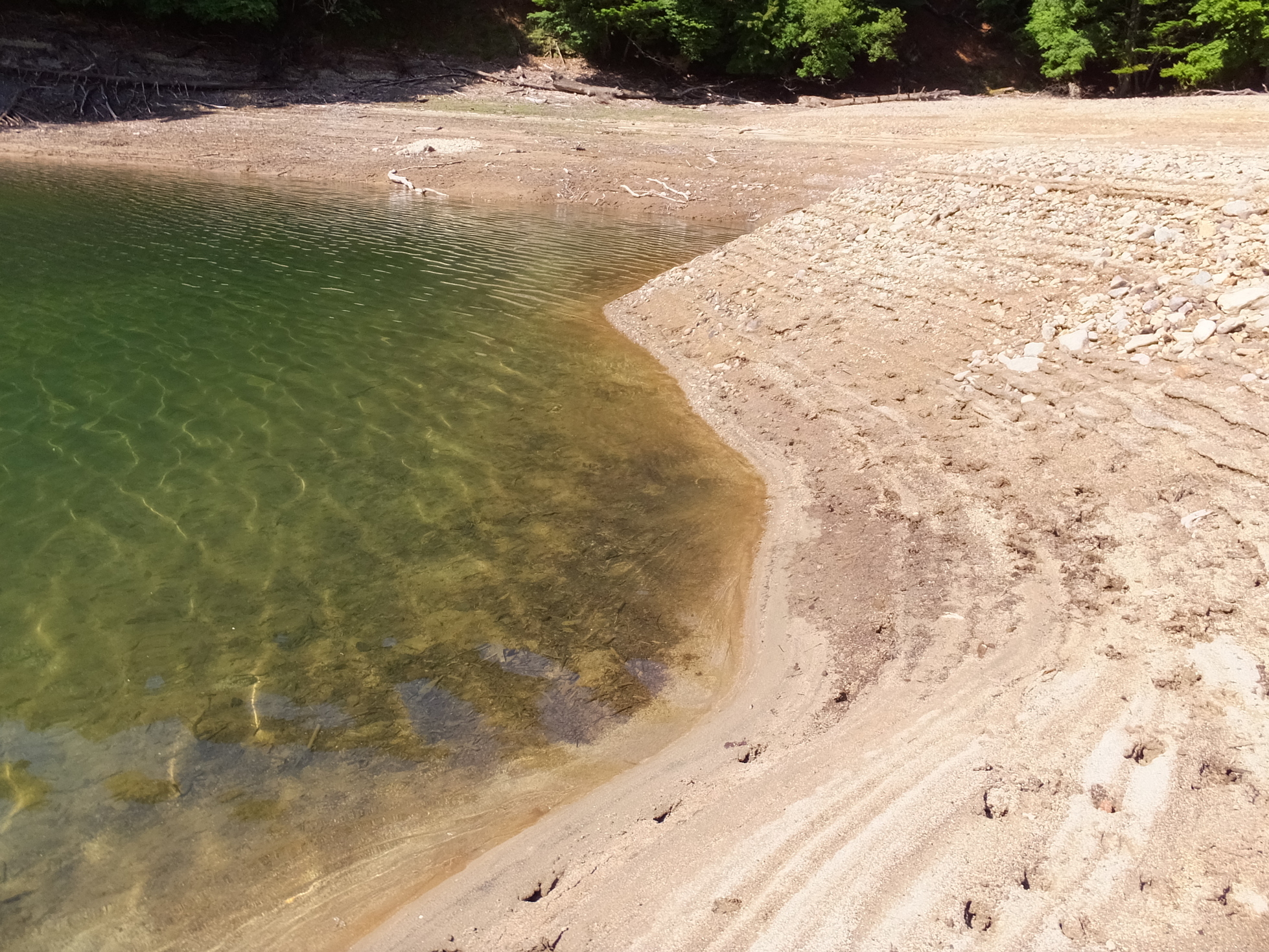 �R�����L