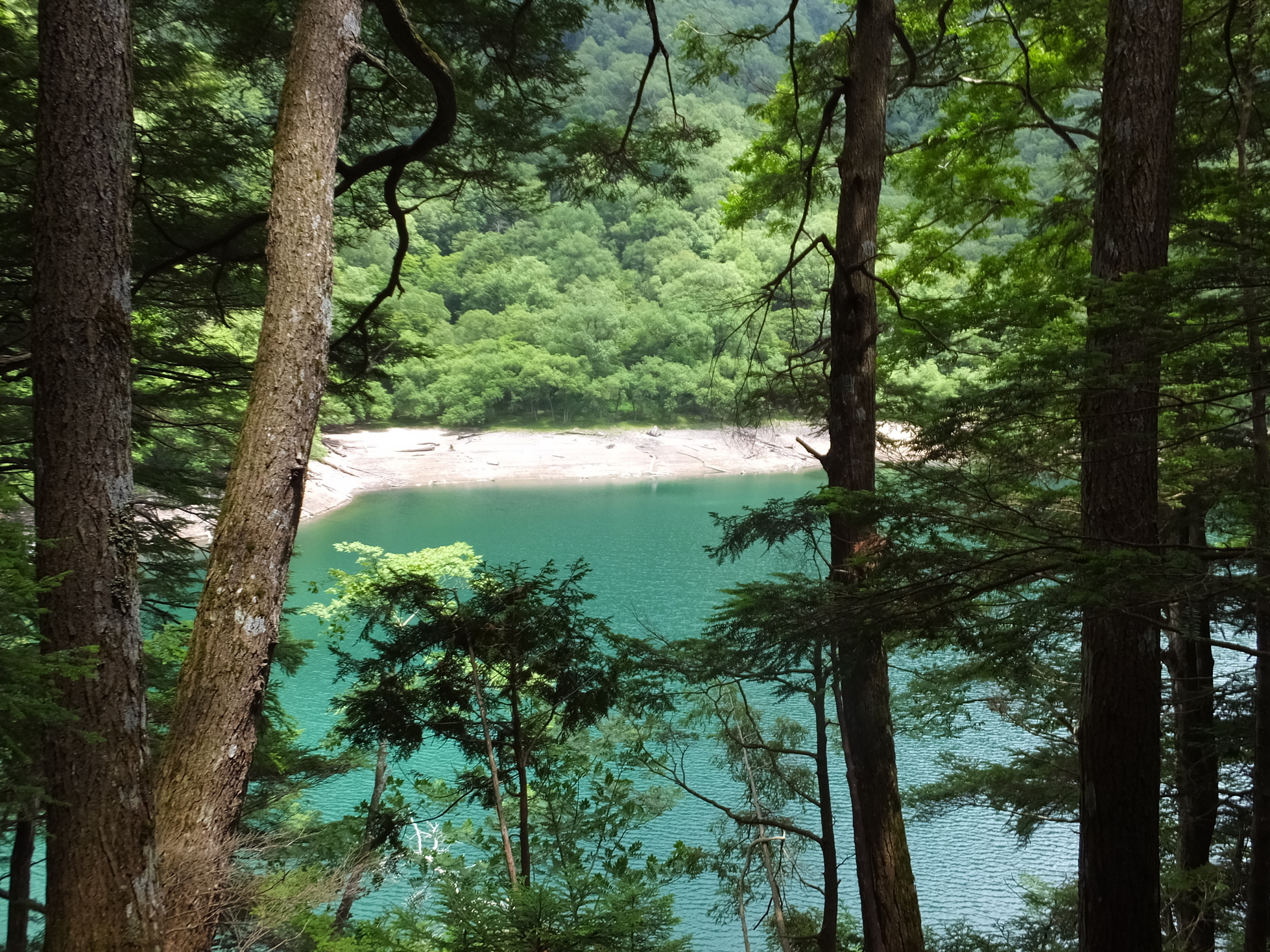 �R�����L