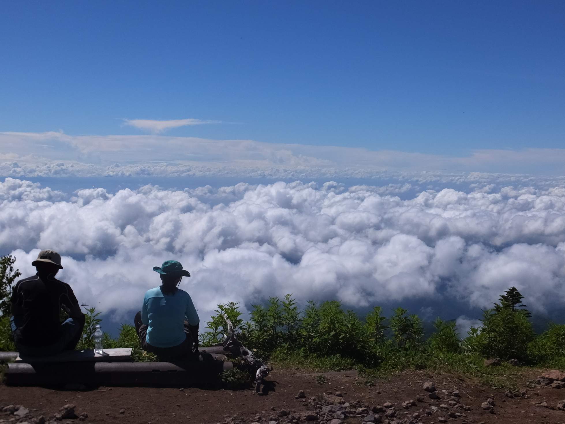 �R�����L