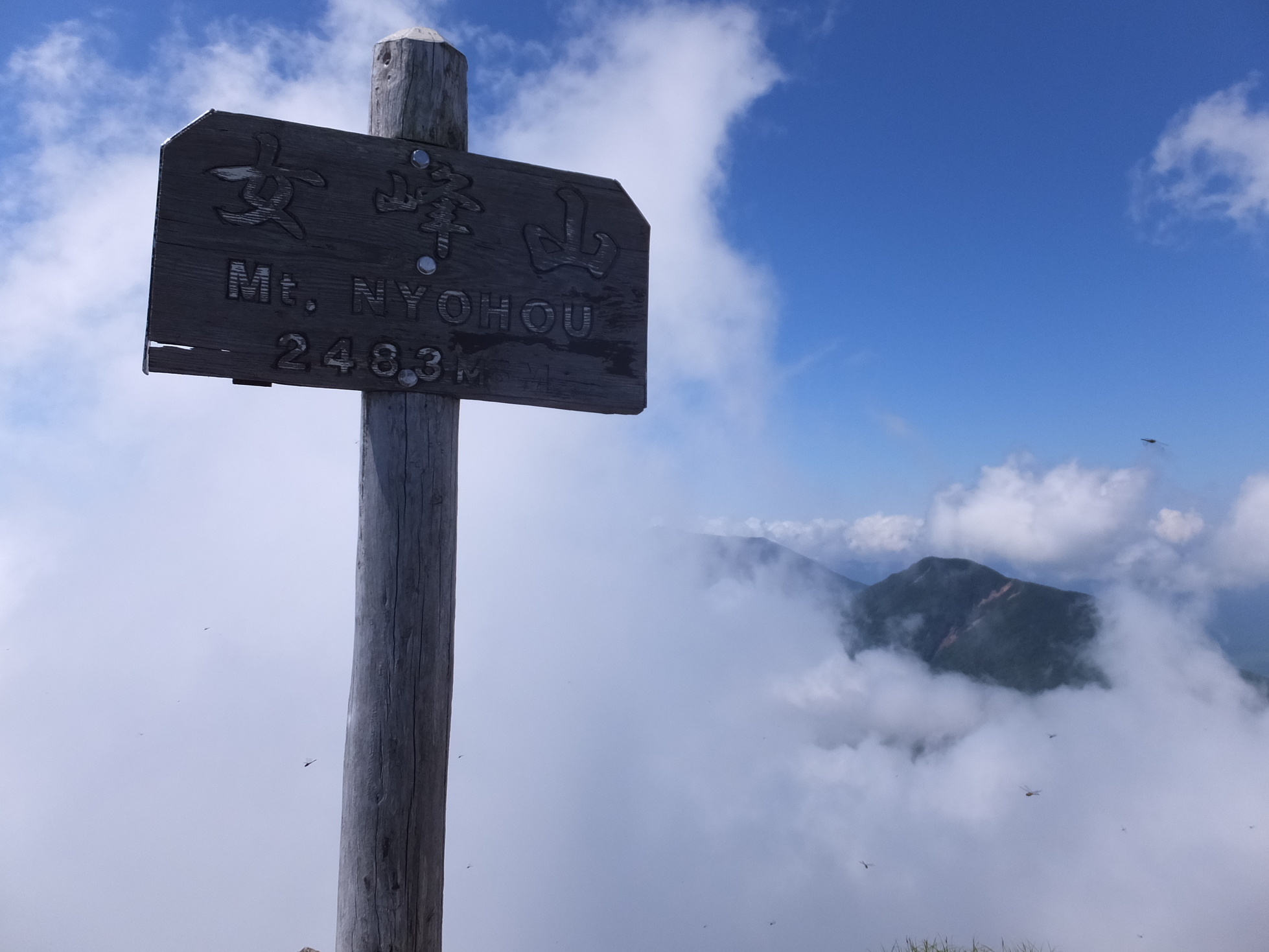 �R�����L