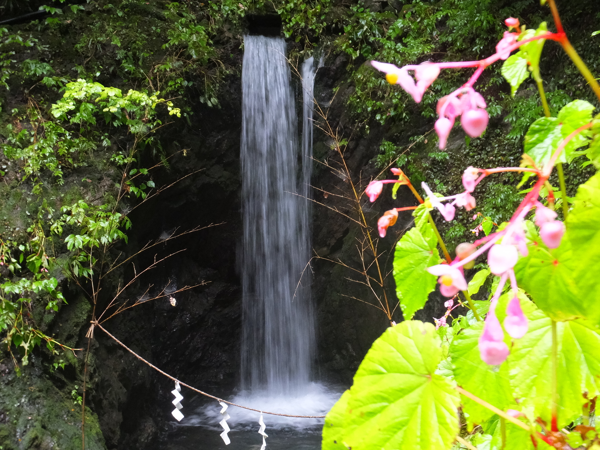 �R�����L