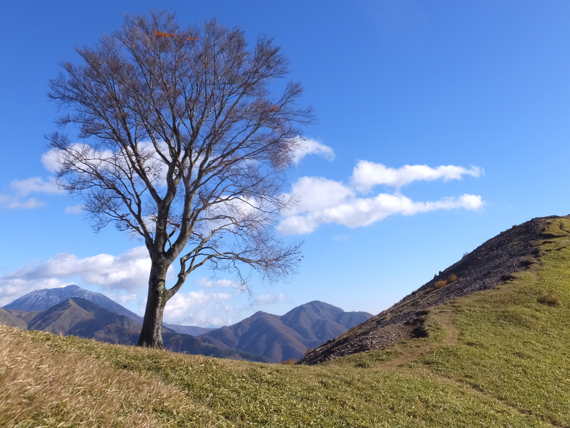 �R�����L