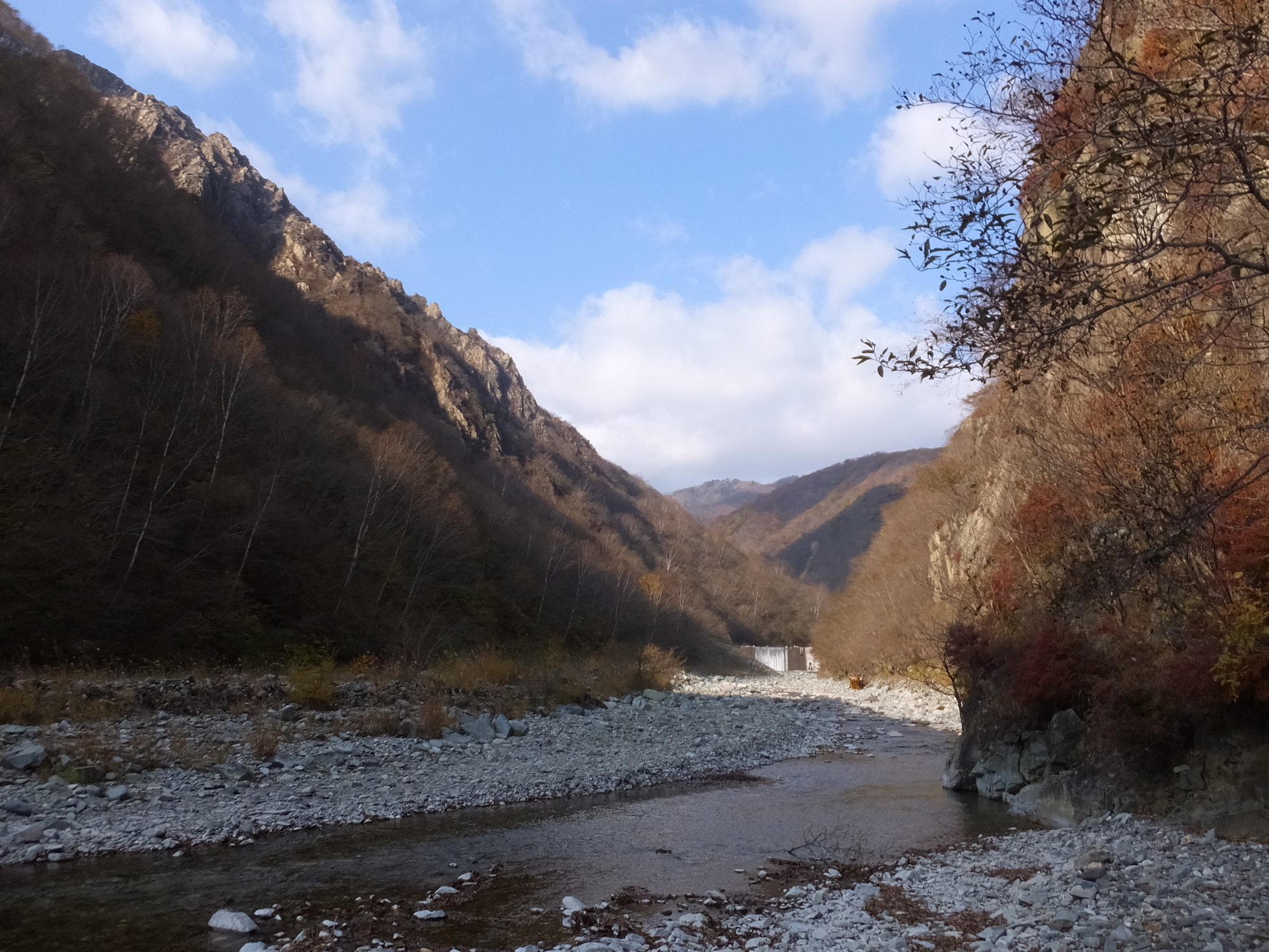 �R�����L