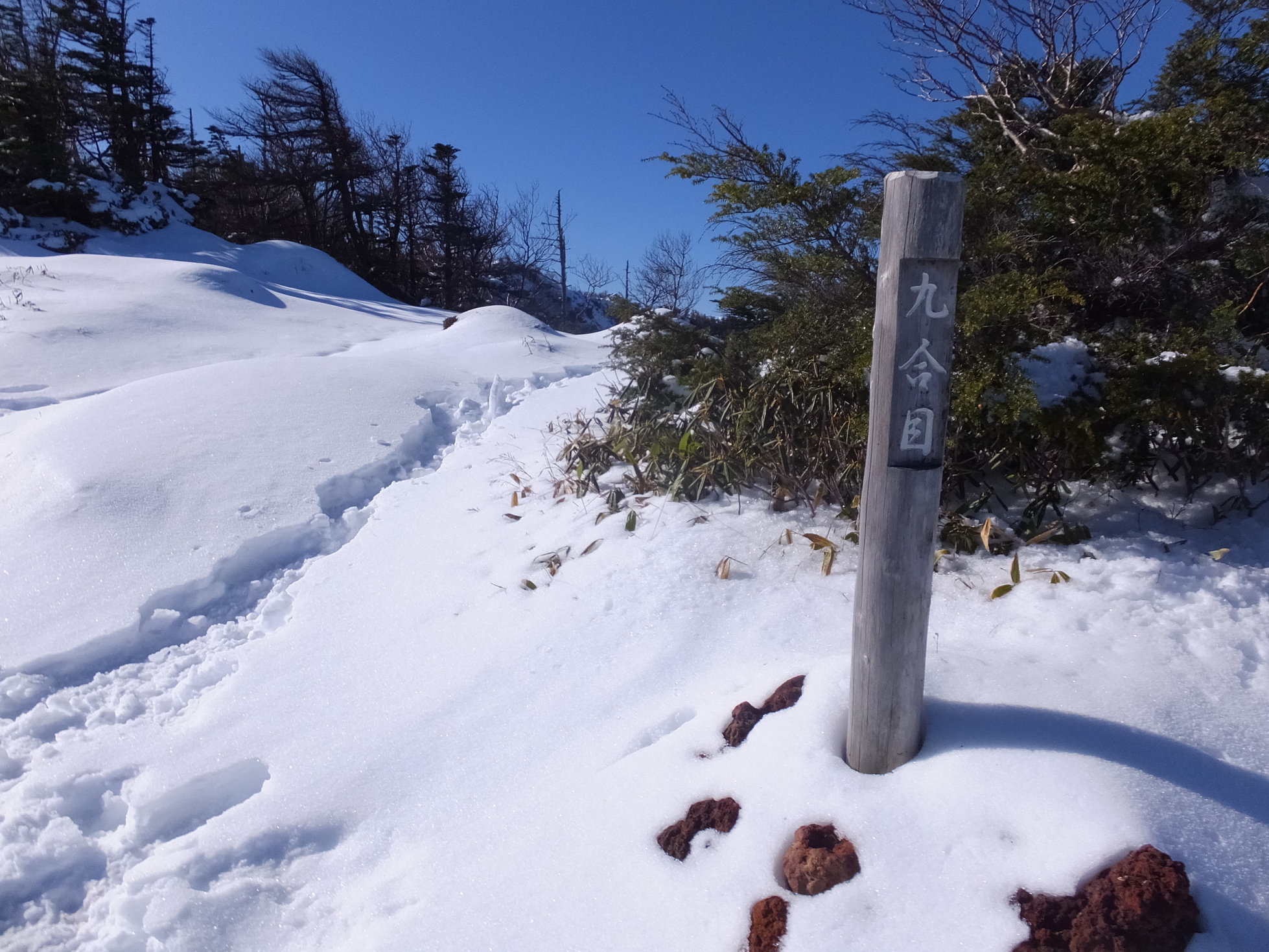 �R�����L