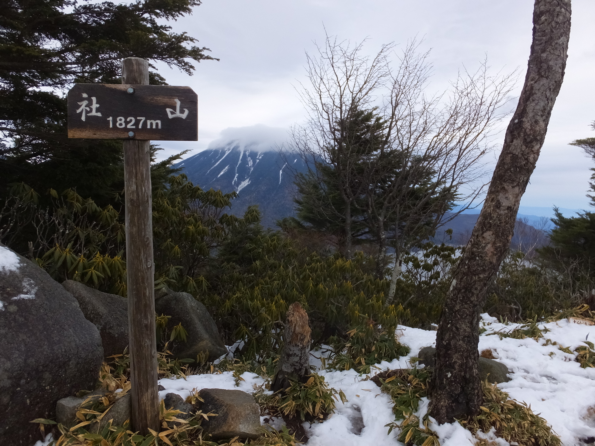 �R�����L