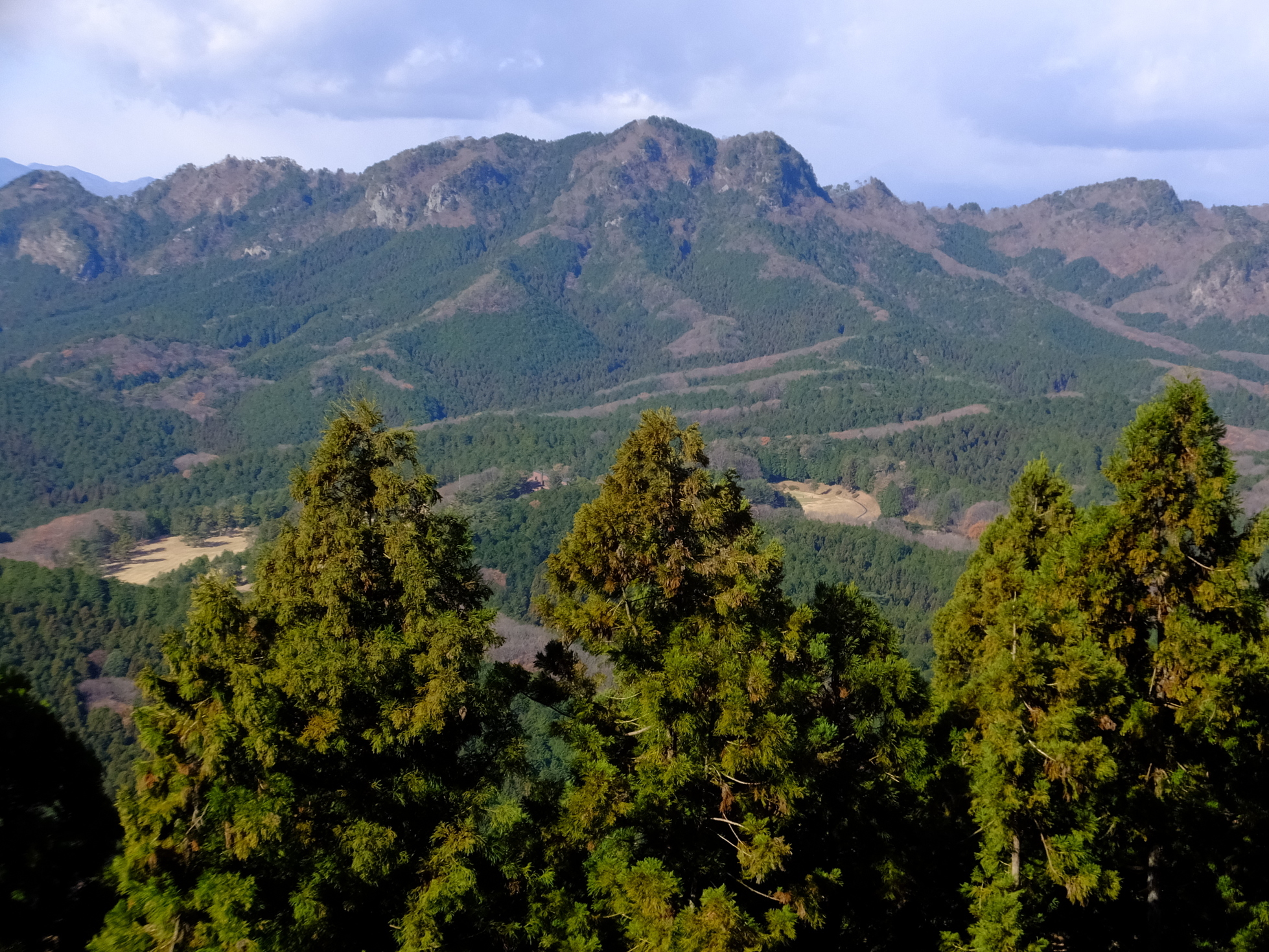 �R�����L