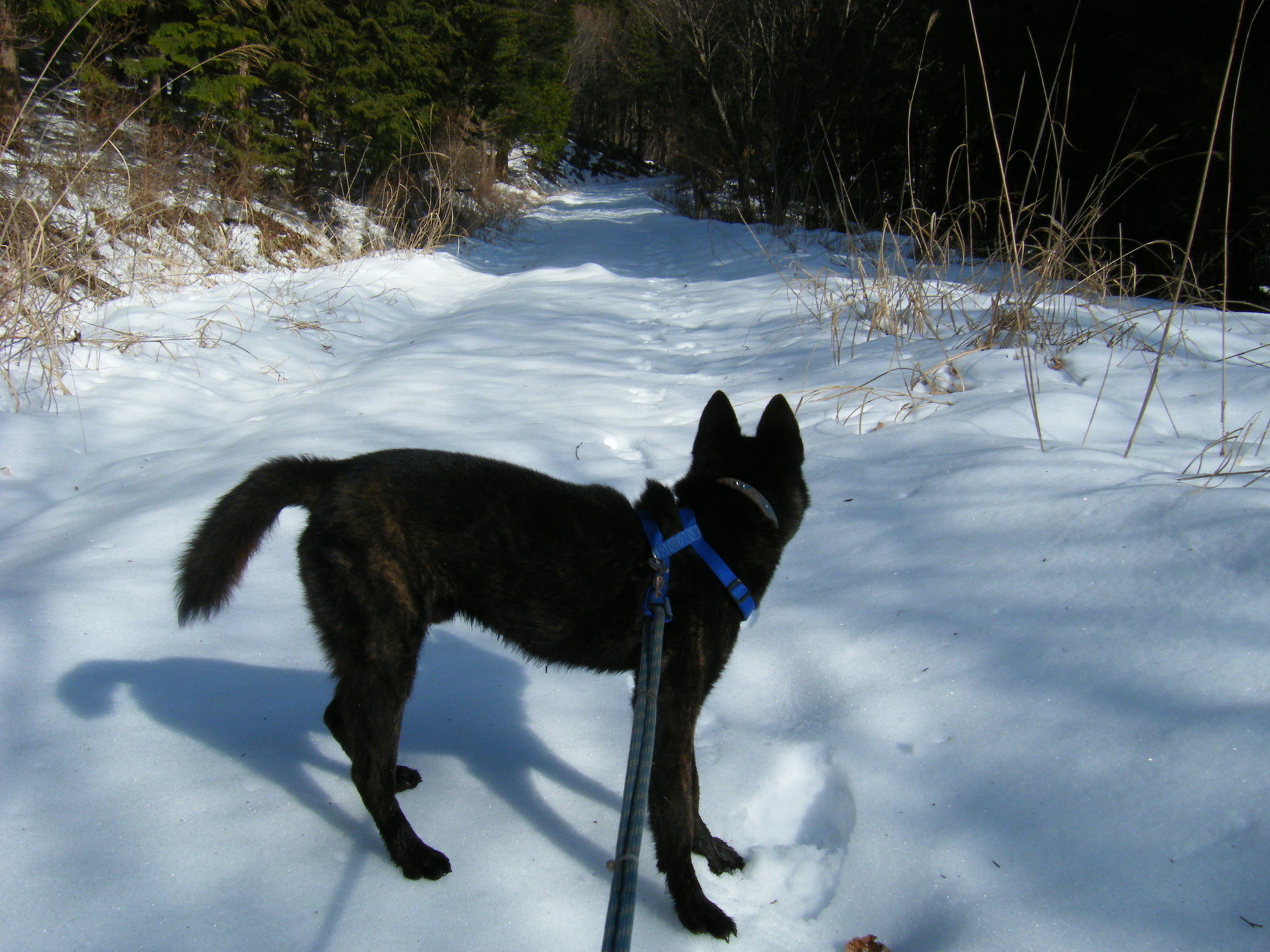 �R�����L