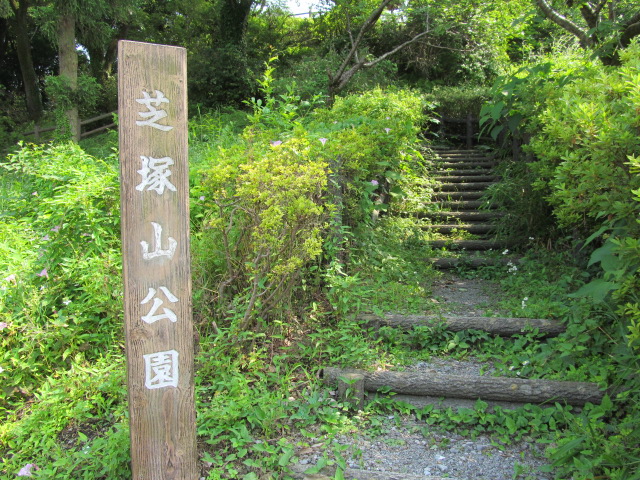 �R�����L