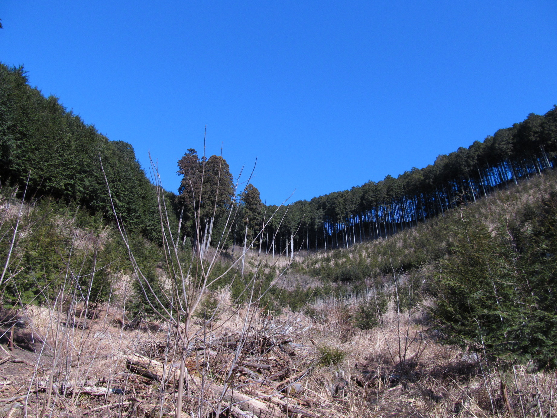 �R�����L