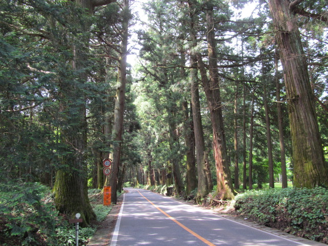 �R�����L