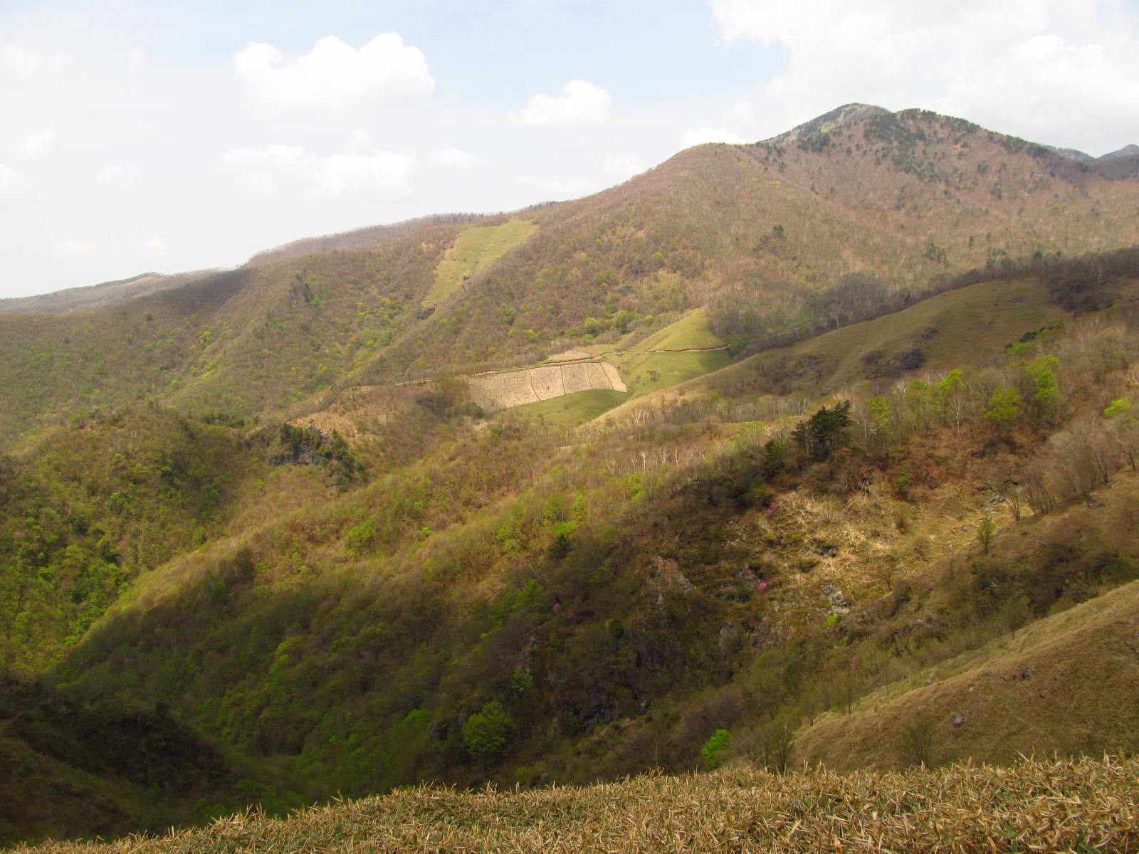 �R�����L