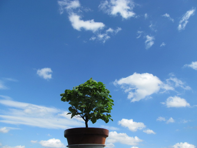 �R�����L