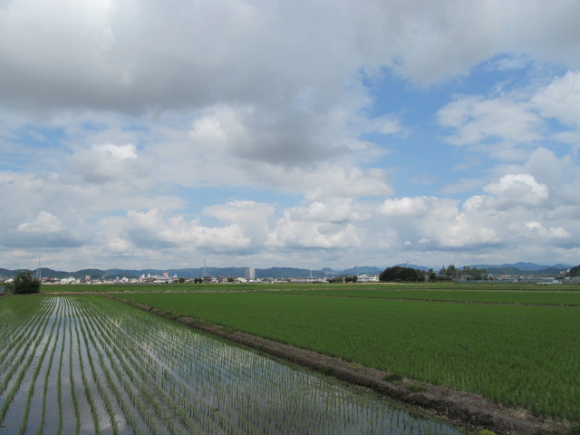 �R�����L