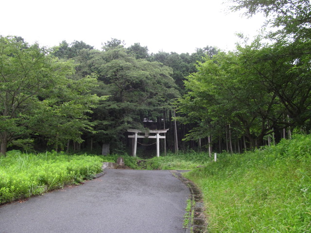 �R�����L