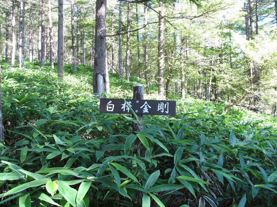 �R�����L