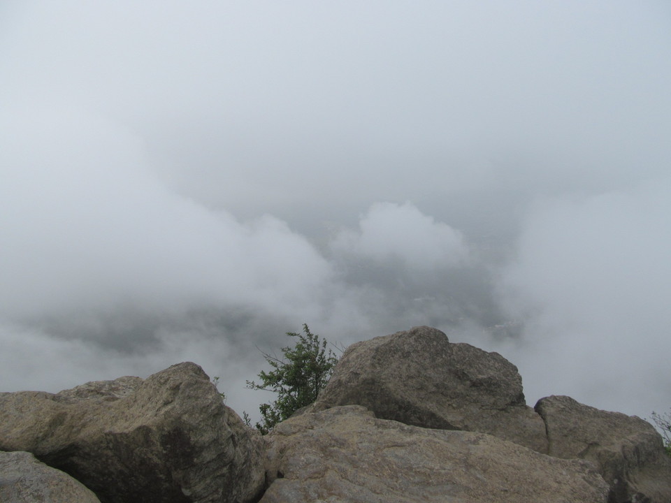 �R�����L