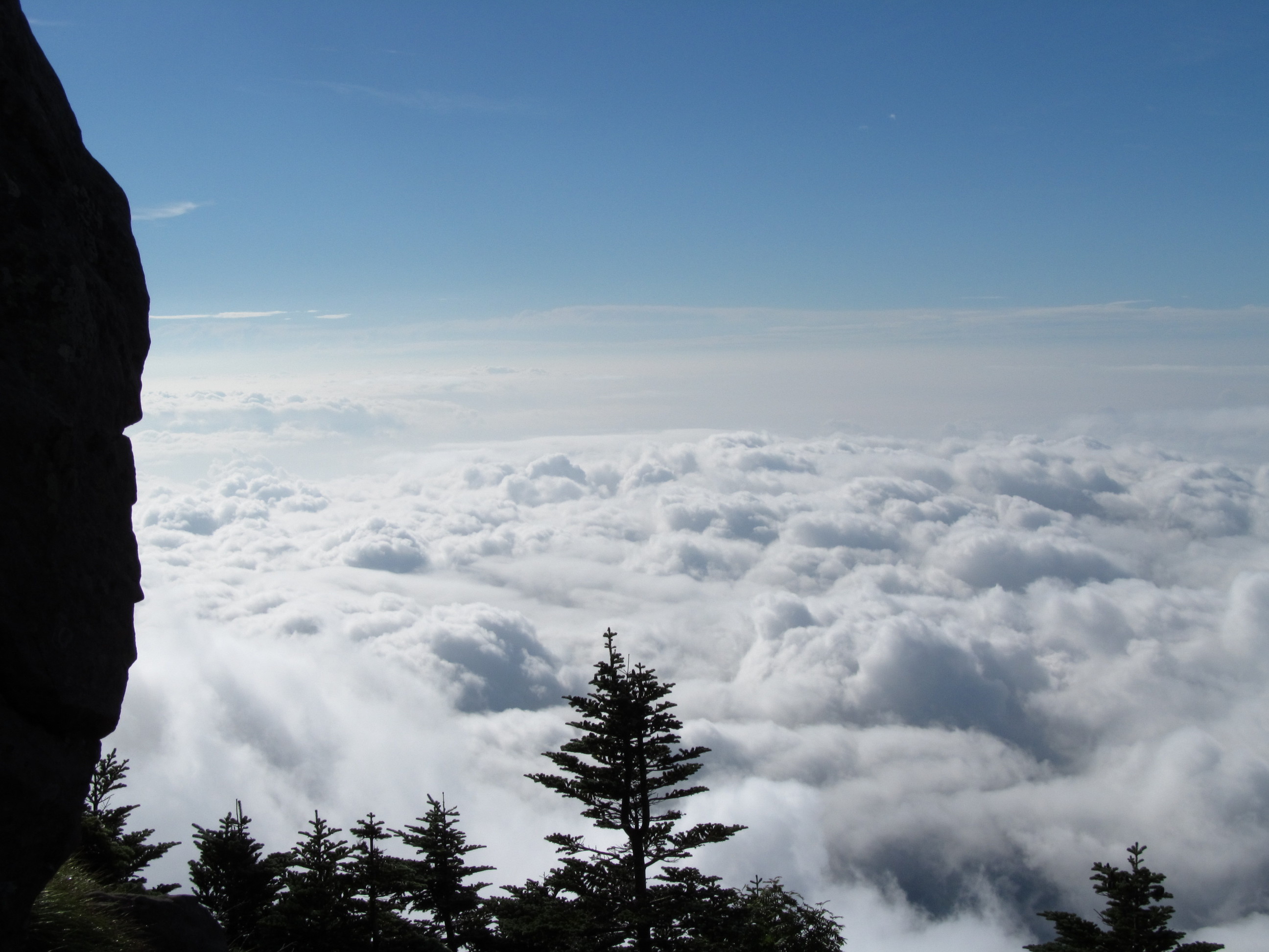 �R�����L