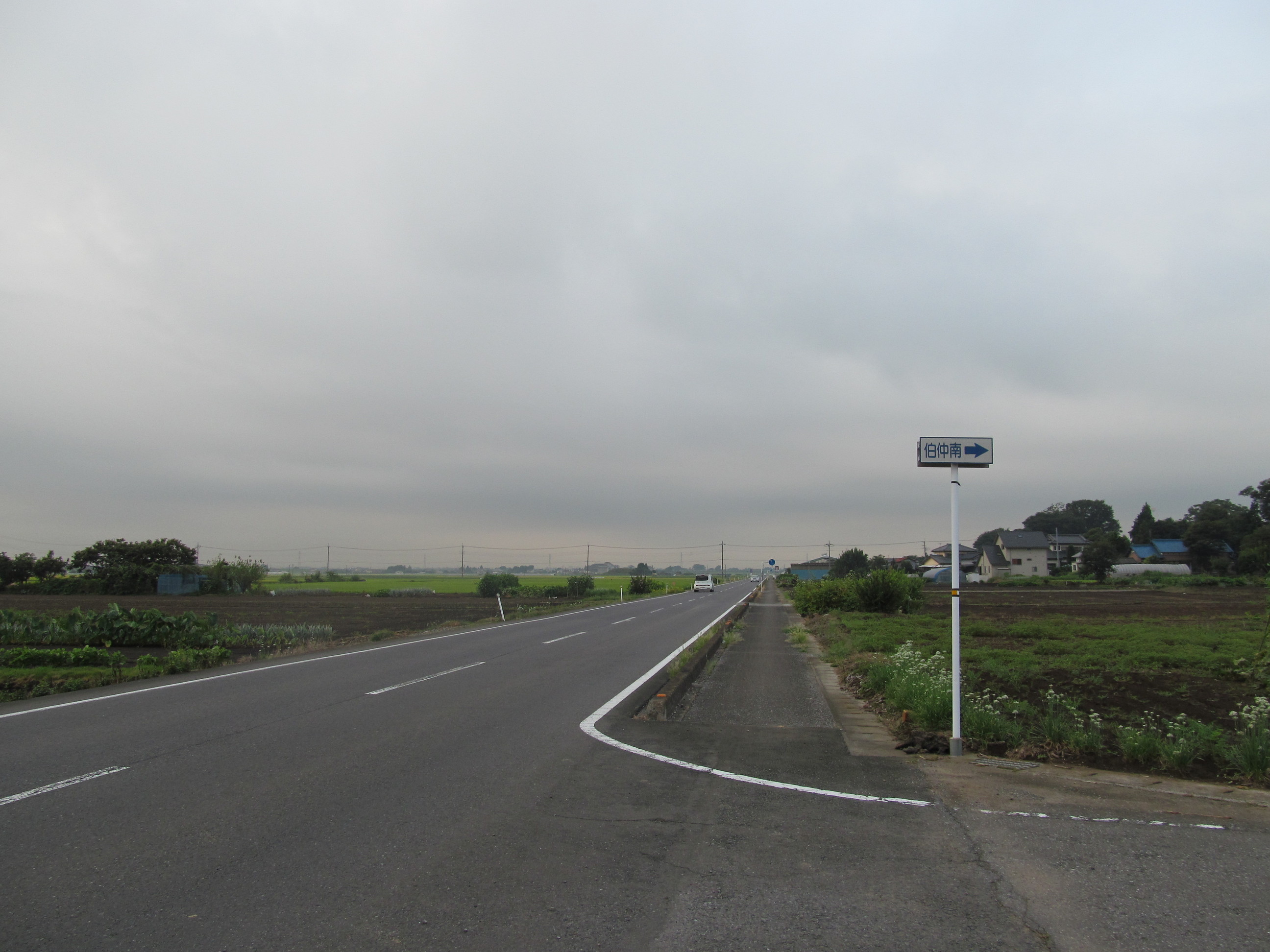 �R�����L