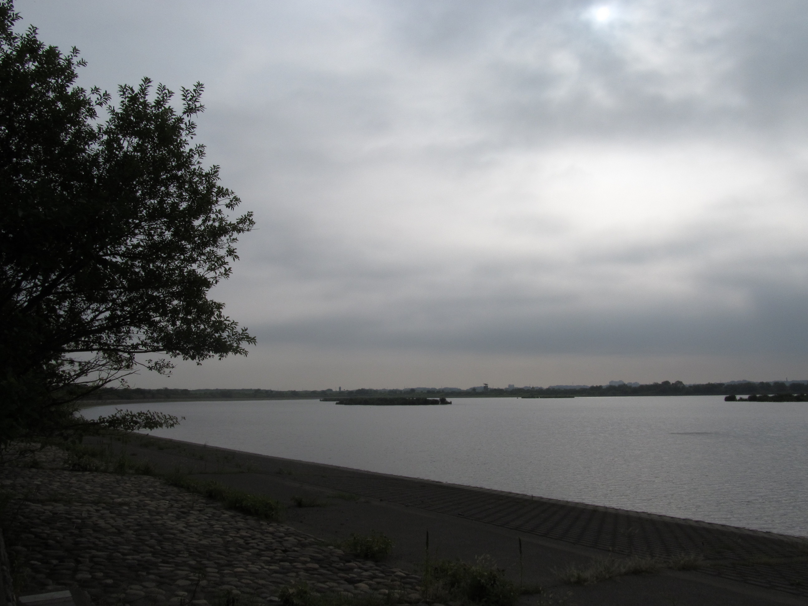 �R�����L