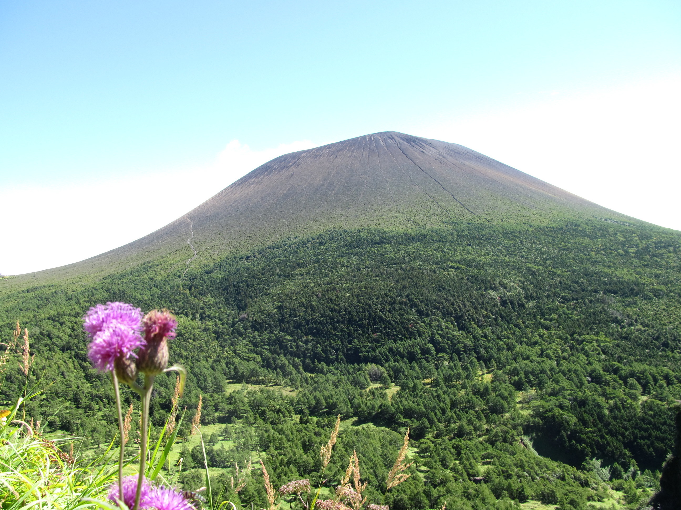 �R�����L