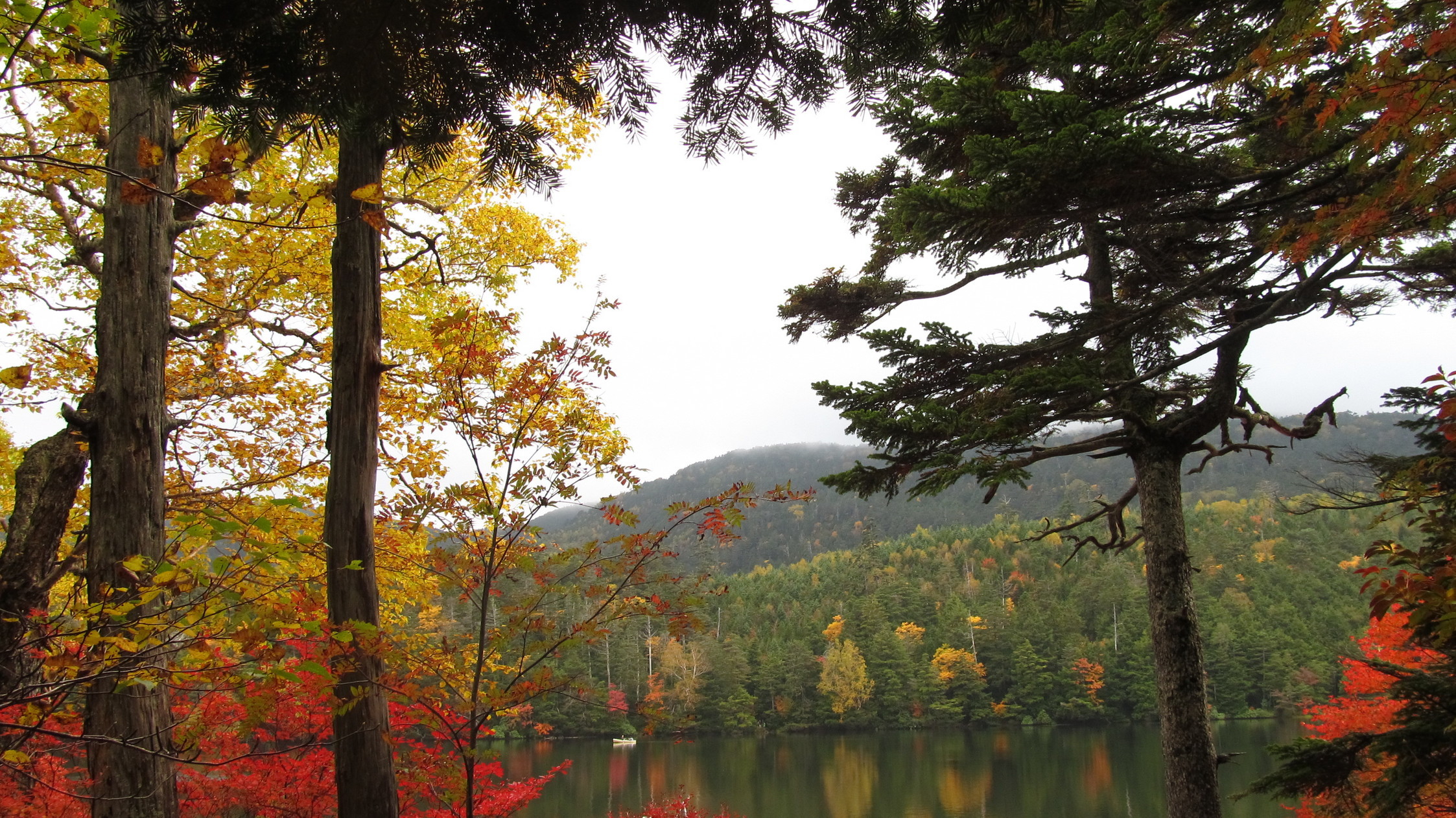 �R�����L