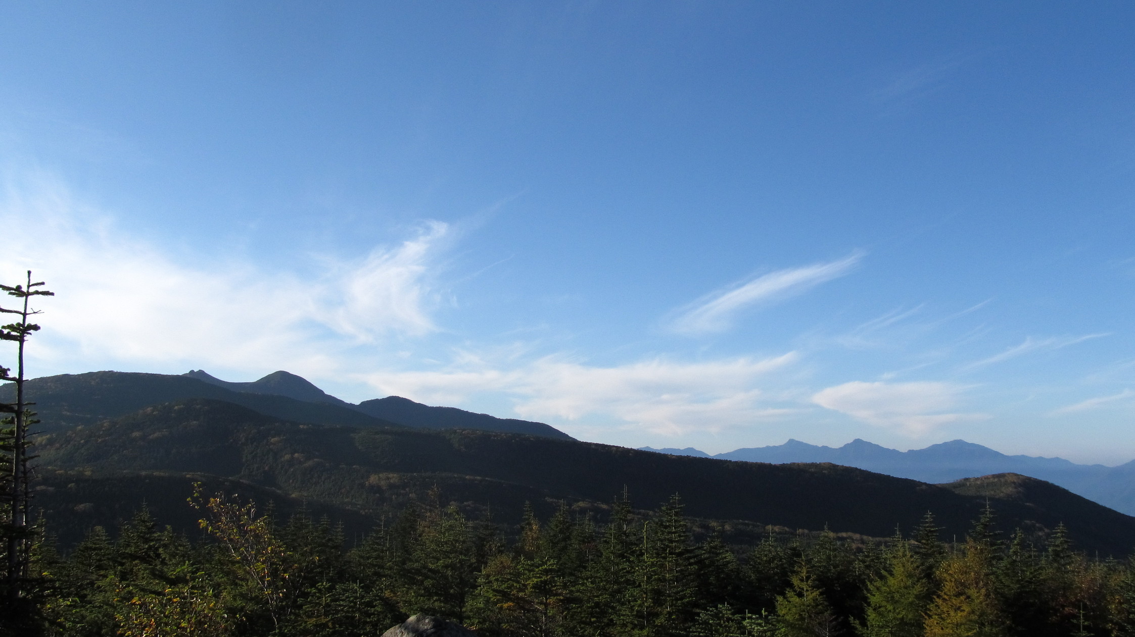 �R�����L