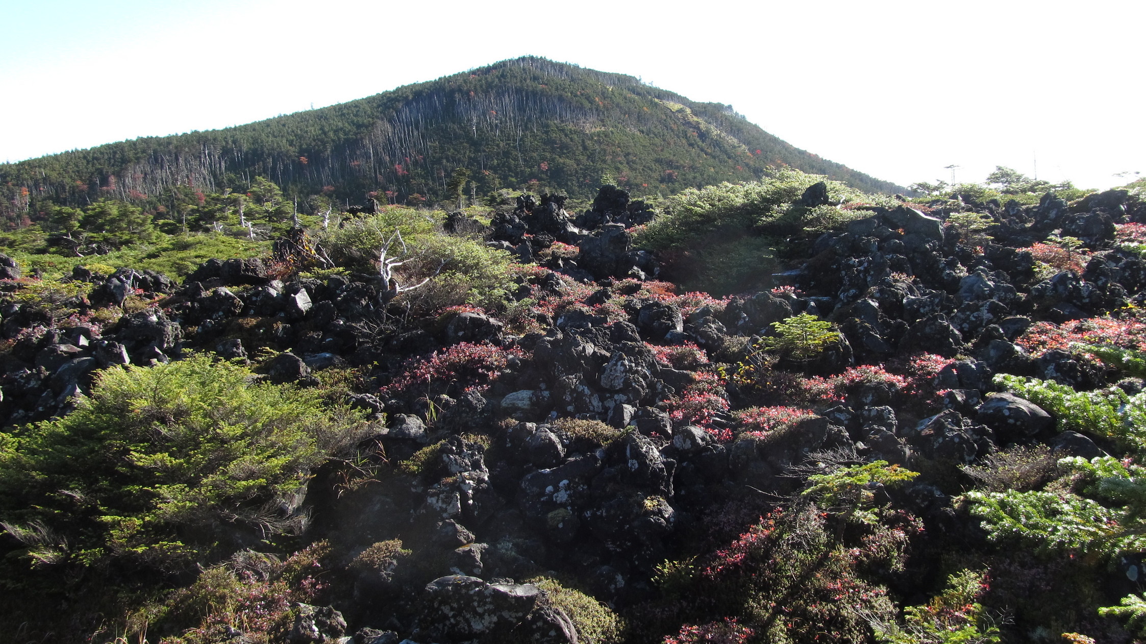 �R�����L