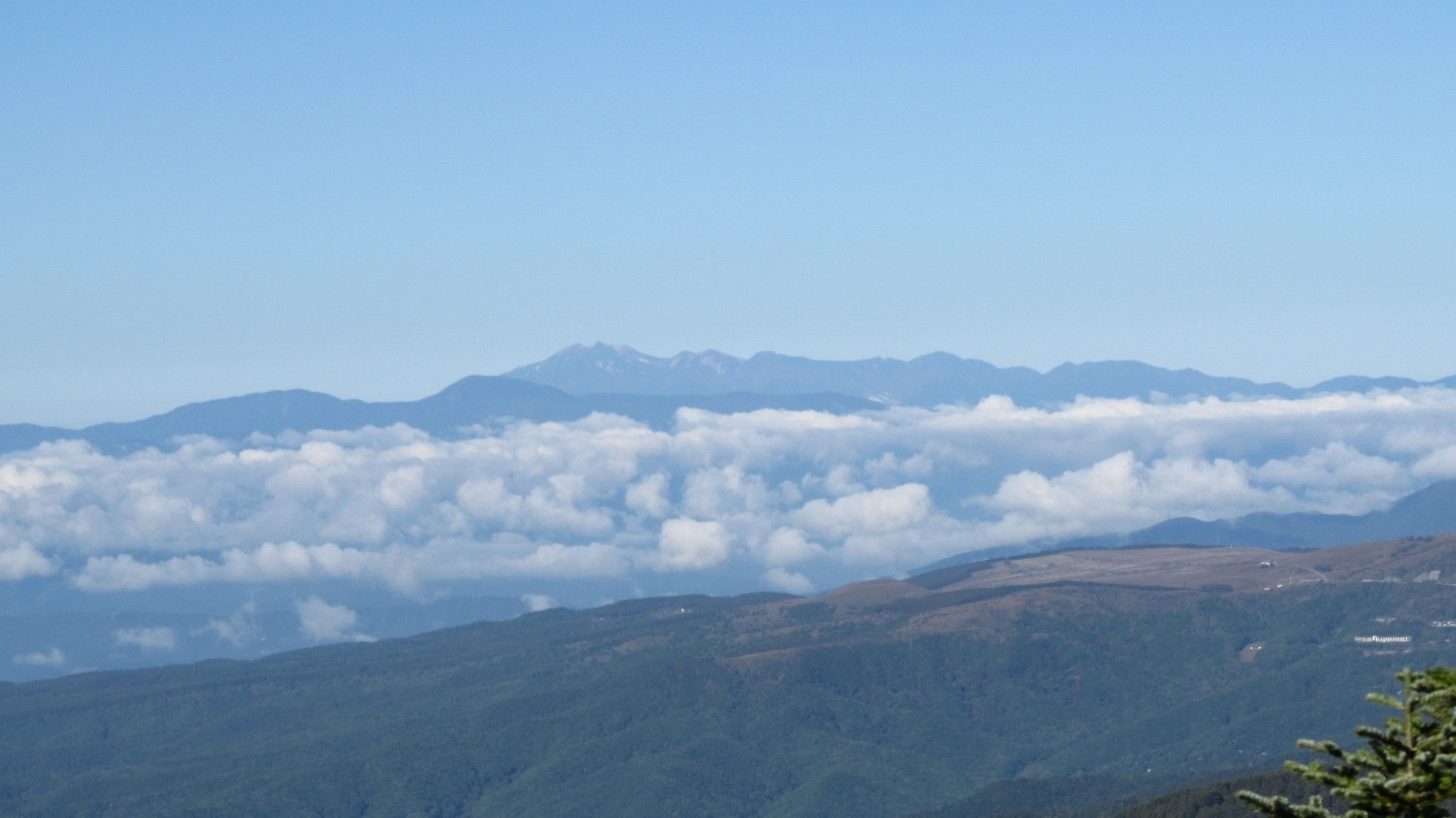 �R�����L