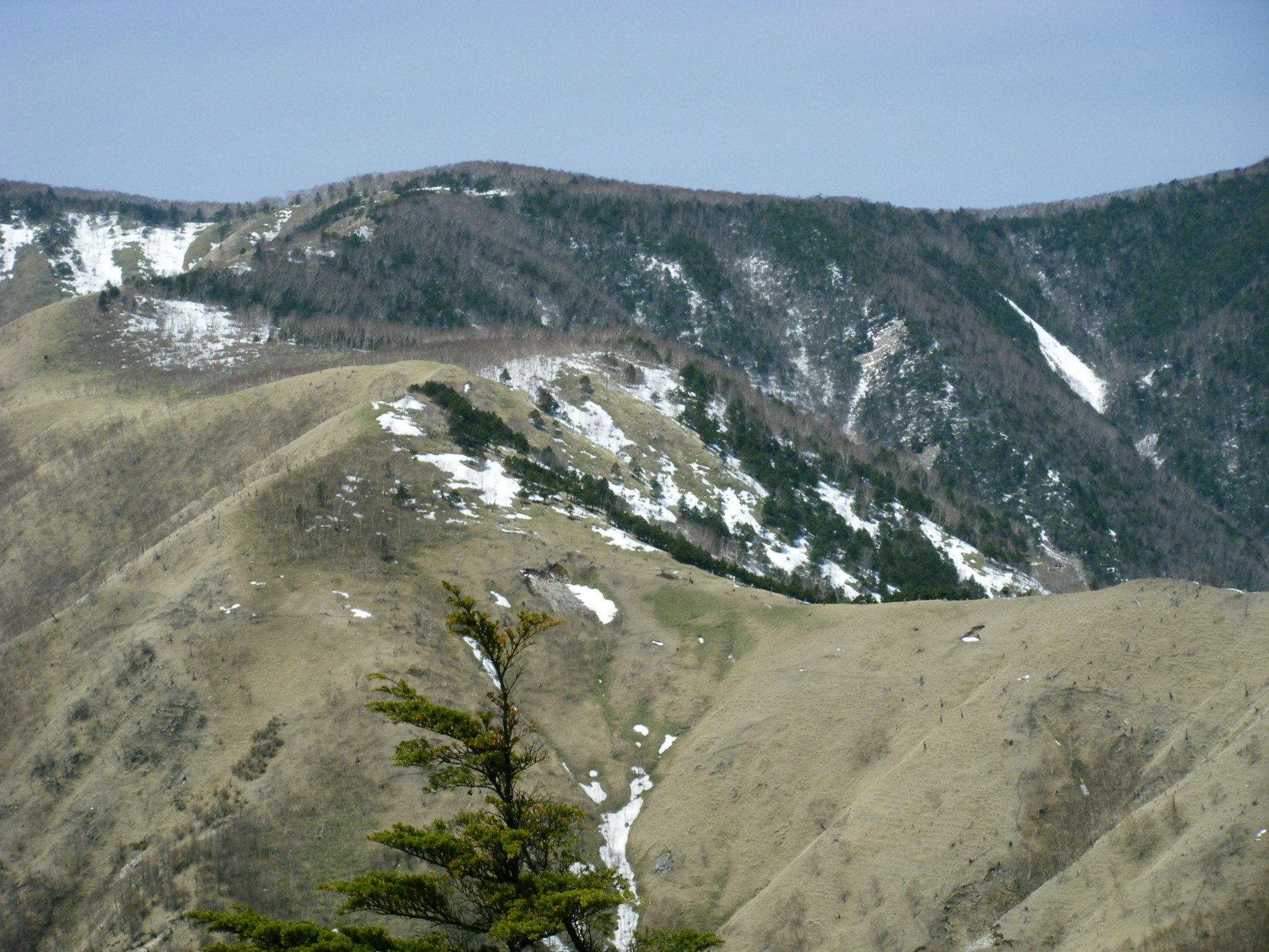 �R�����L