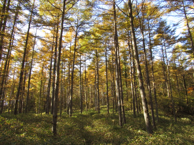 �R�����L