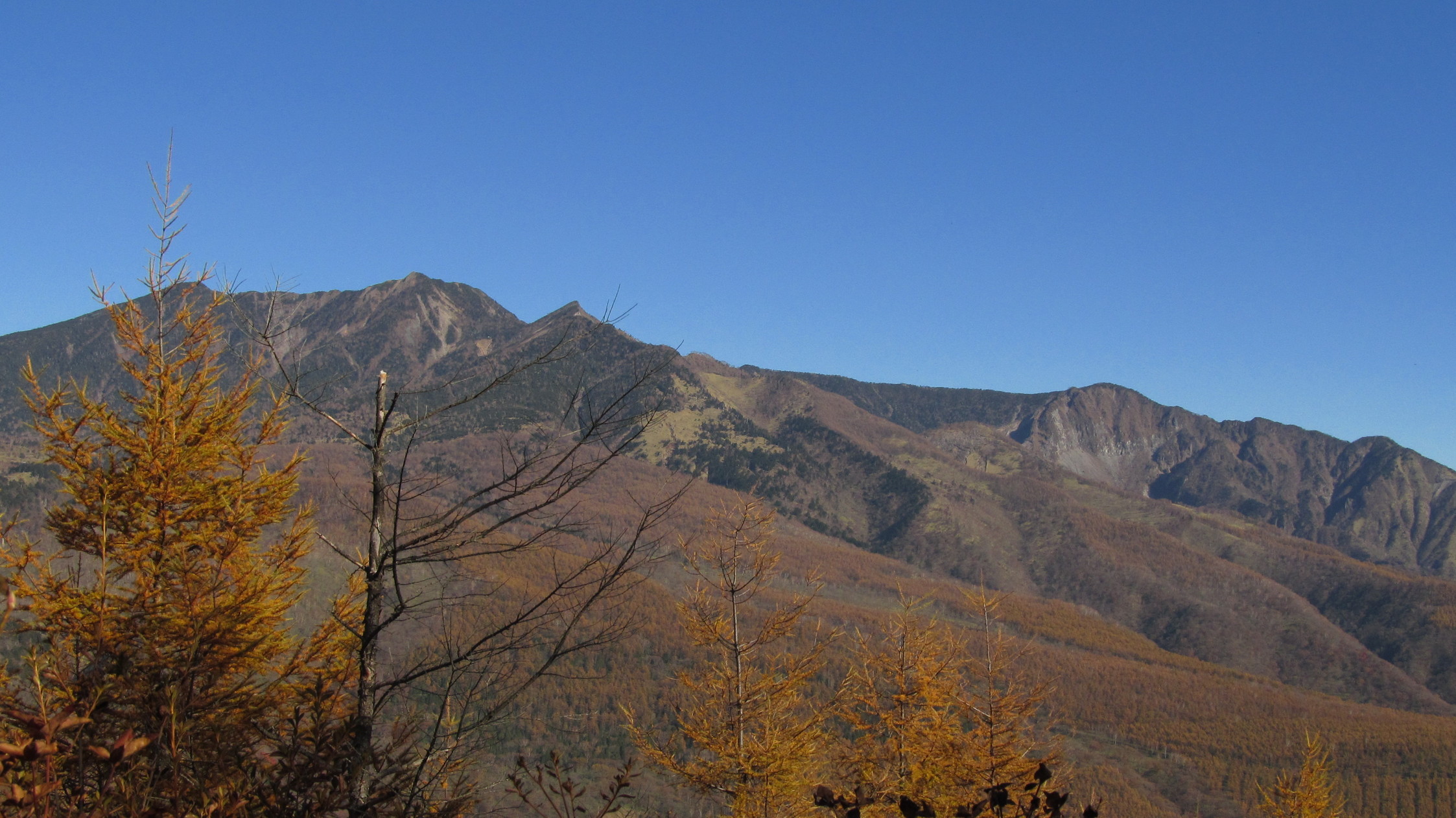 �R�����L