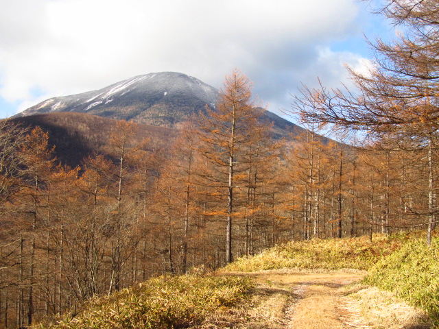 �R�����L