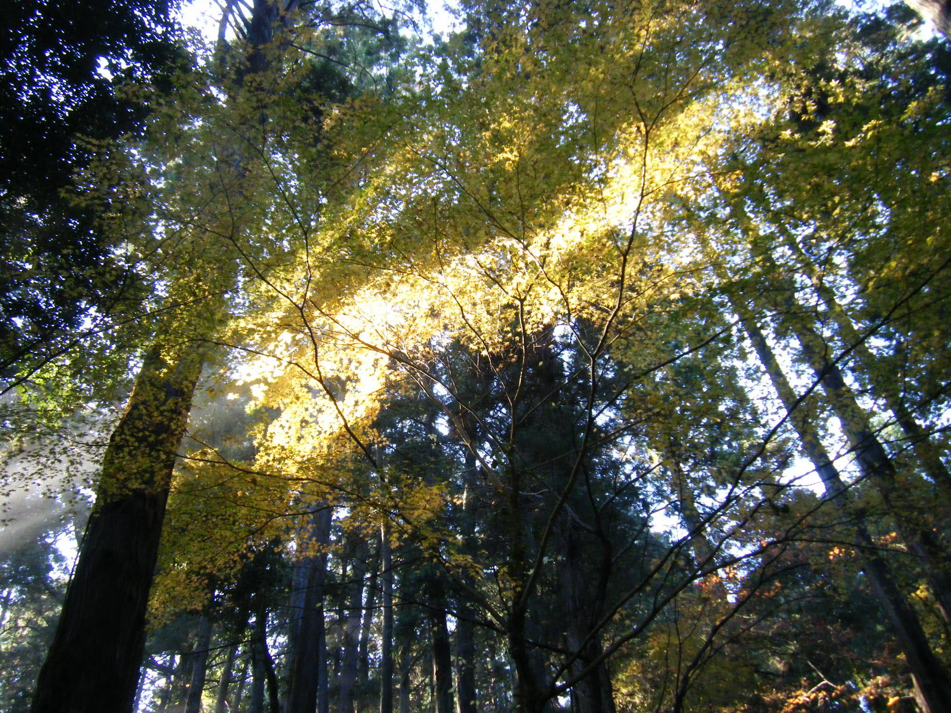 �R�����L