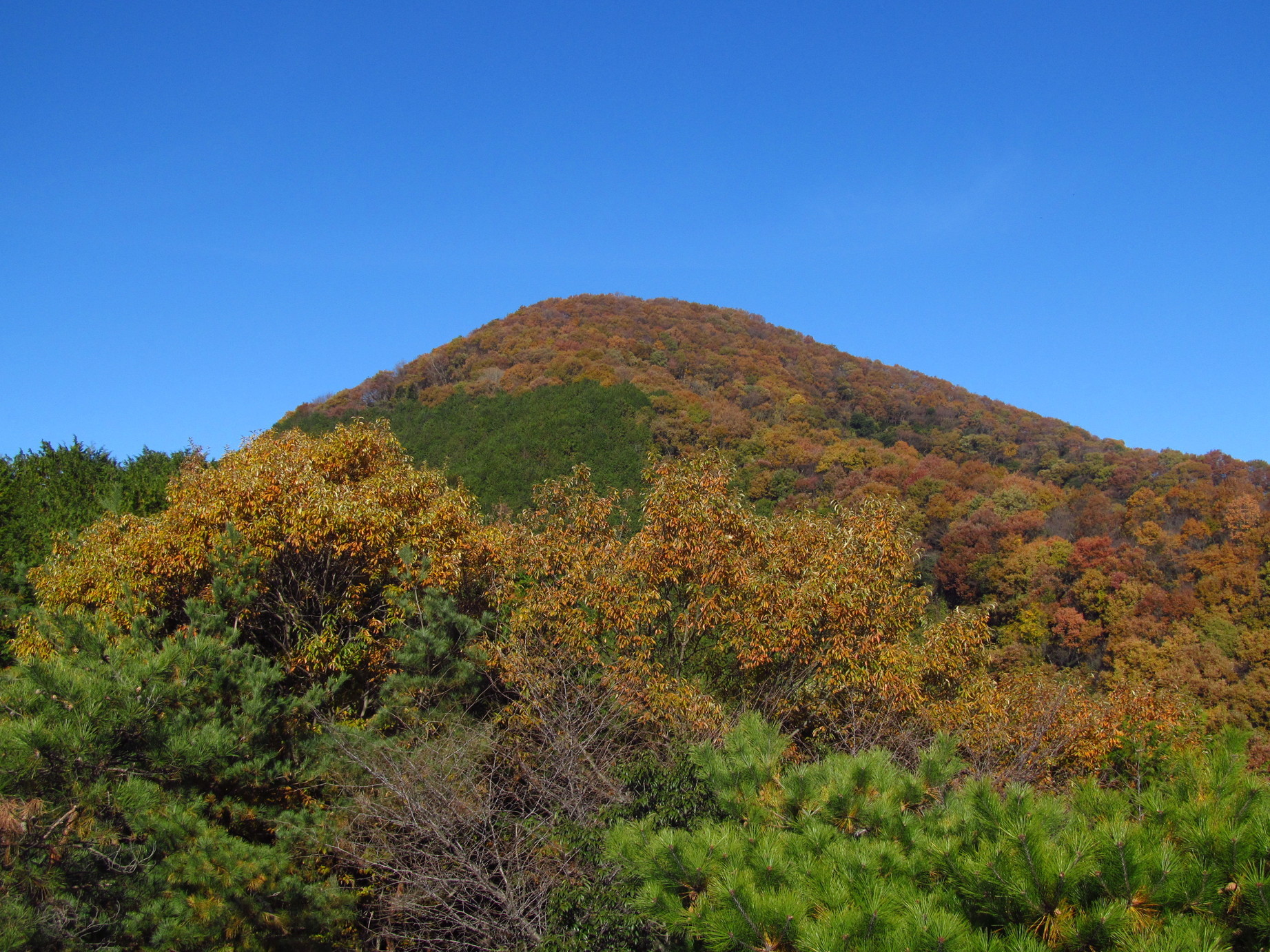 �R�����L