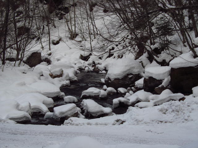 �R�����L