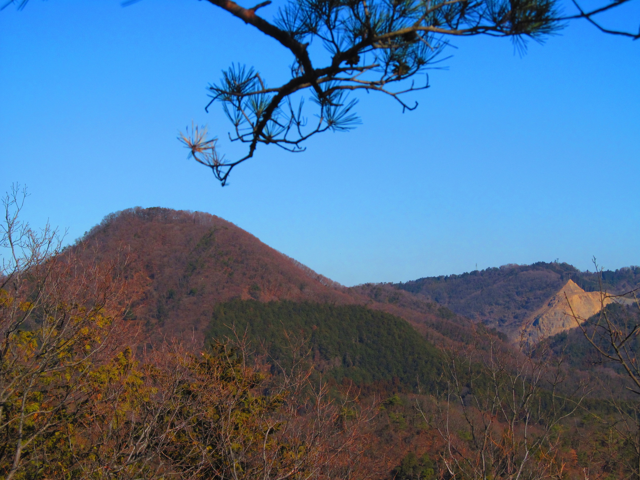 �R�����L