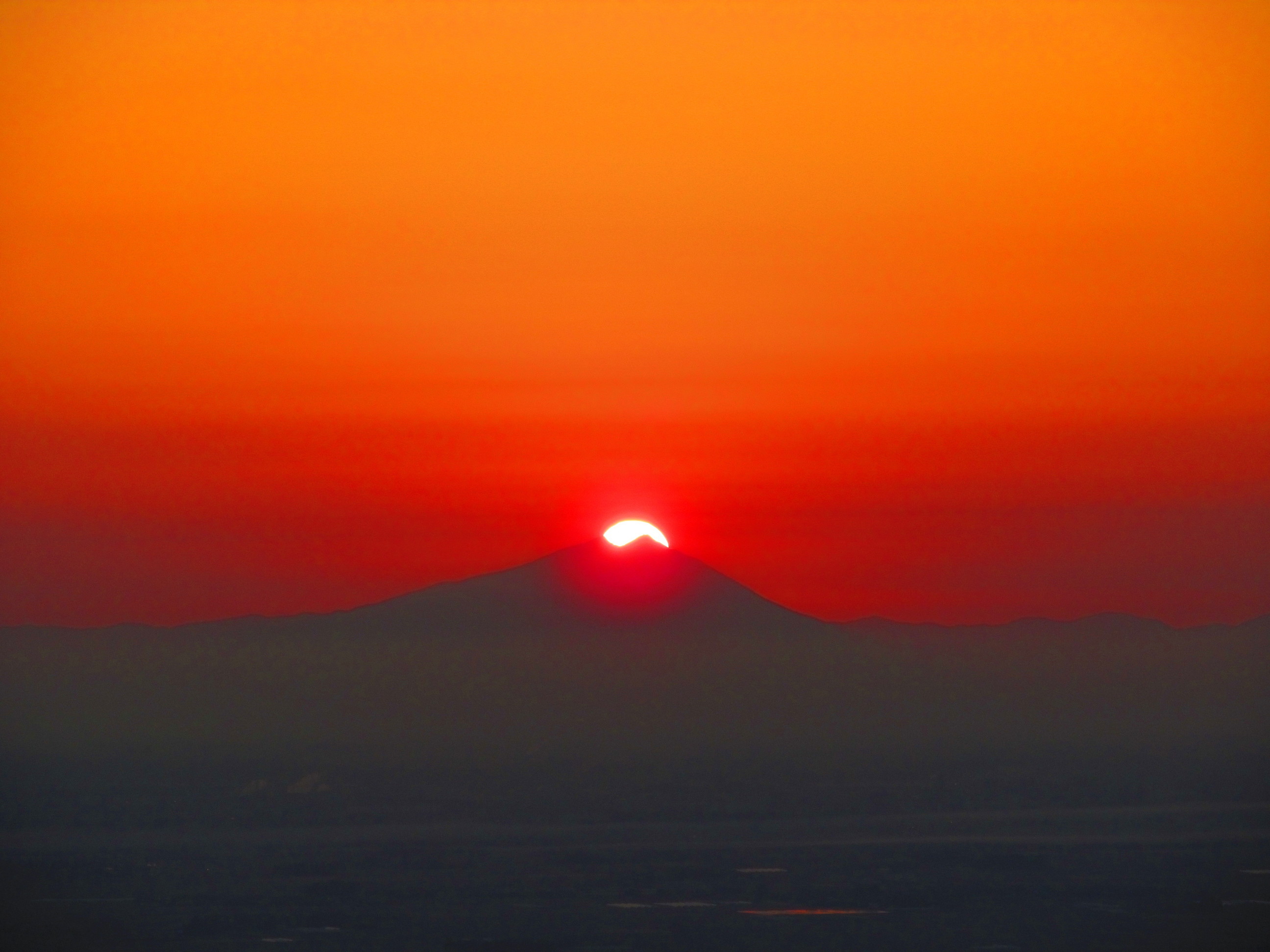 �R�����L